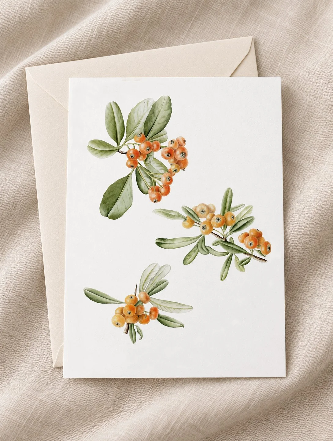 tarjeta-ilustracion-botanica-espino-amarillo-silicula.jpg
