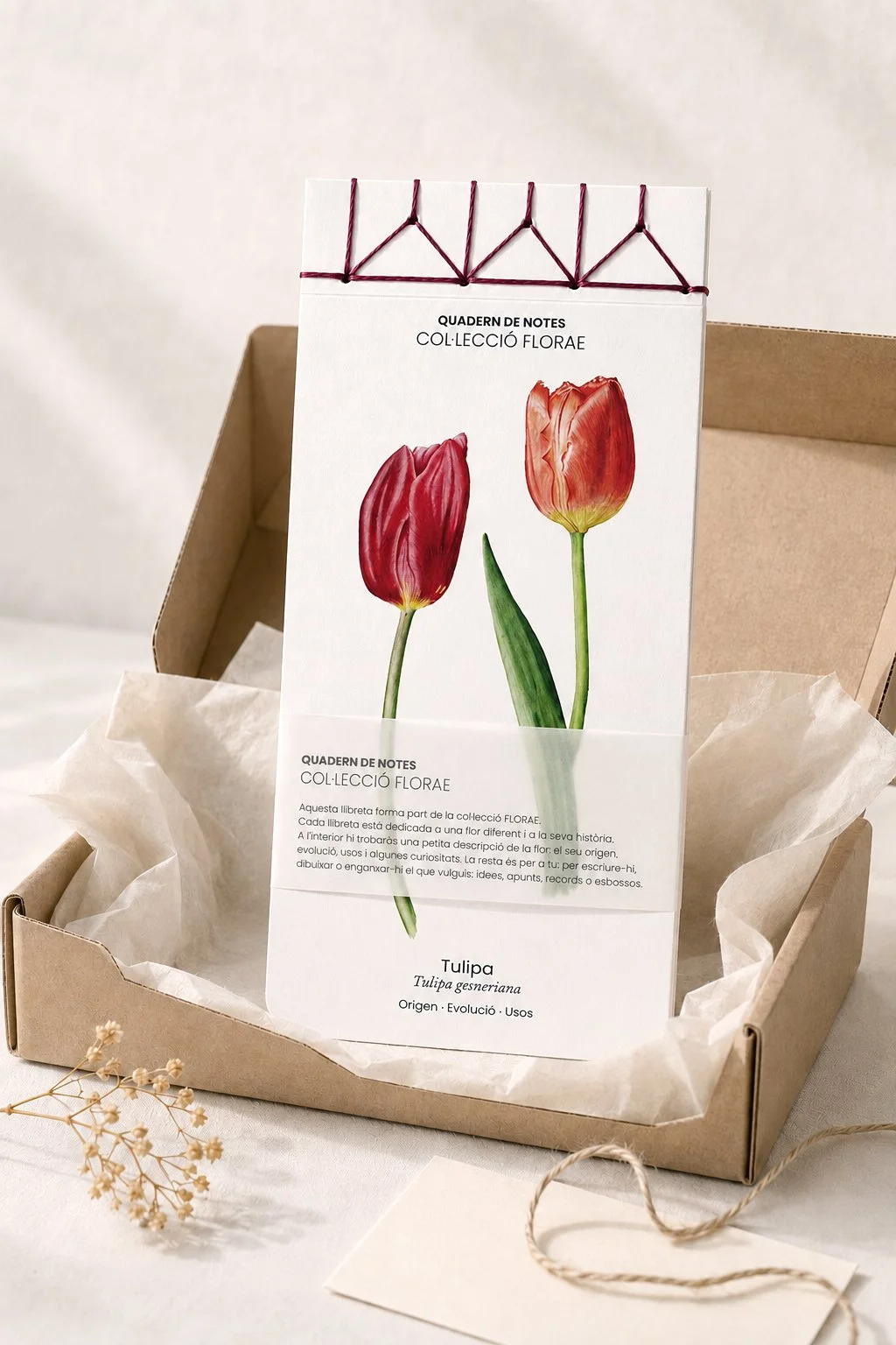 packaging-cuaderno-botanico-tulipas-silicula.jpg