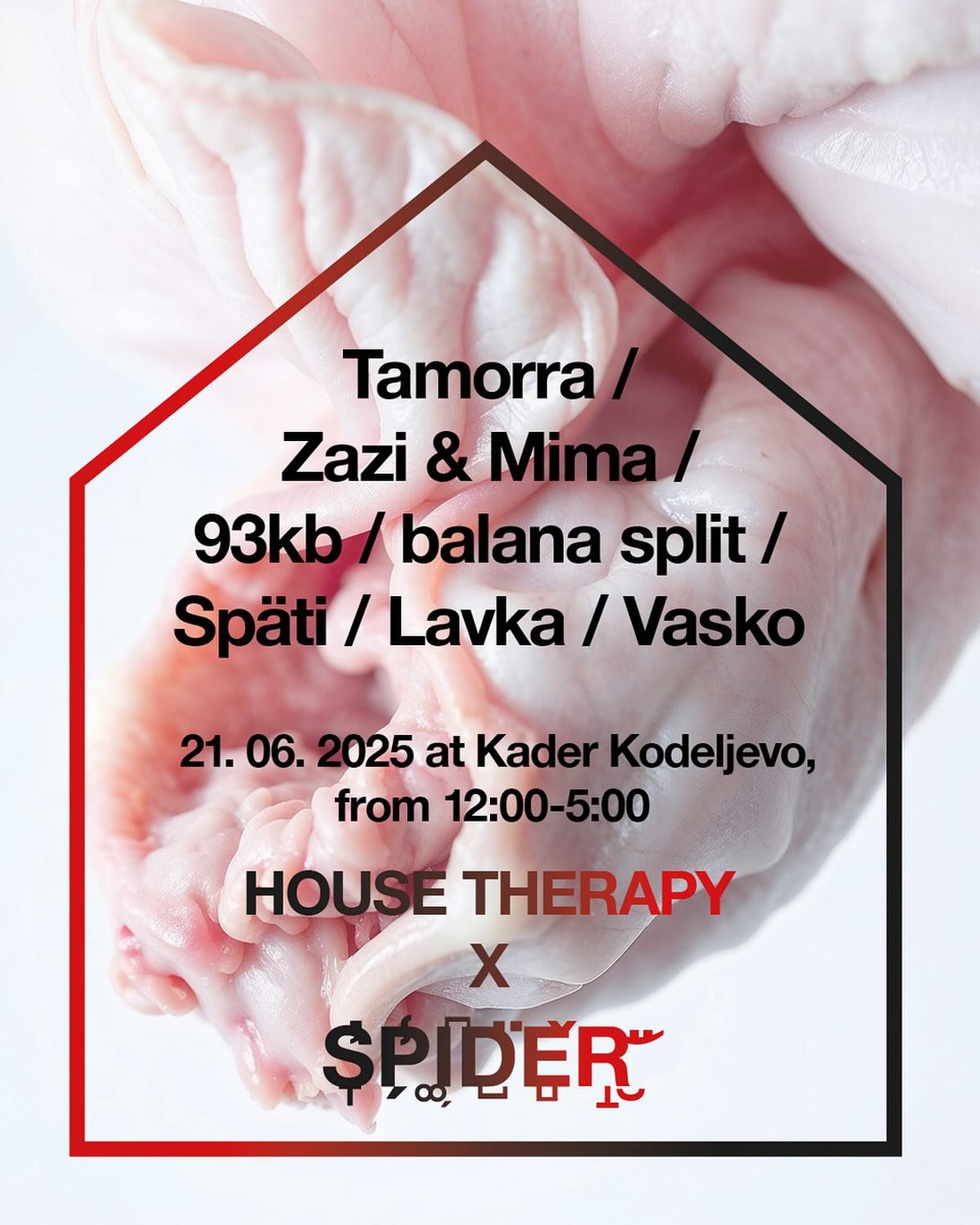 Spider Brunch a little different this year; We&rsquo;re joining forces with one of Ljubljana&rsquo;s finest: @housetherapymusic 

House Therapy ✨ is a Ljubljana-based collective known for their genre-fluid approach to electronic music. With a focus o
