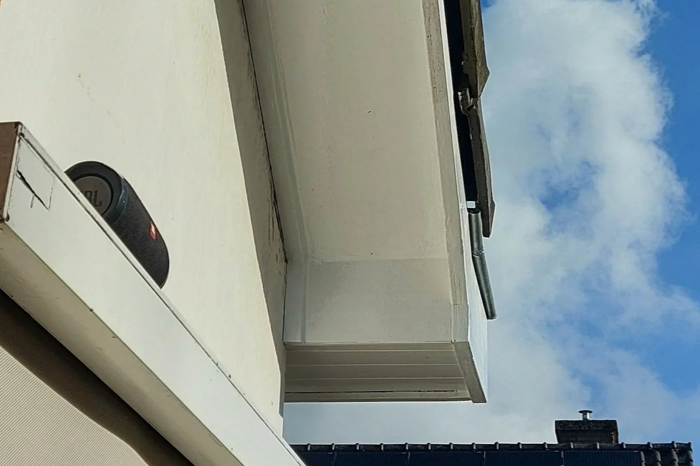 20230204_125917.jpg