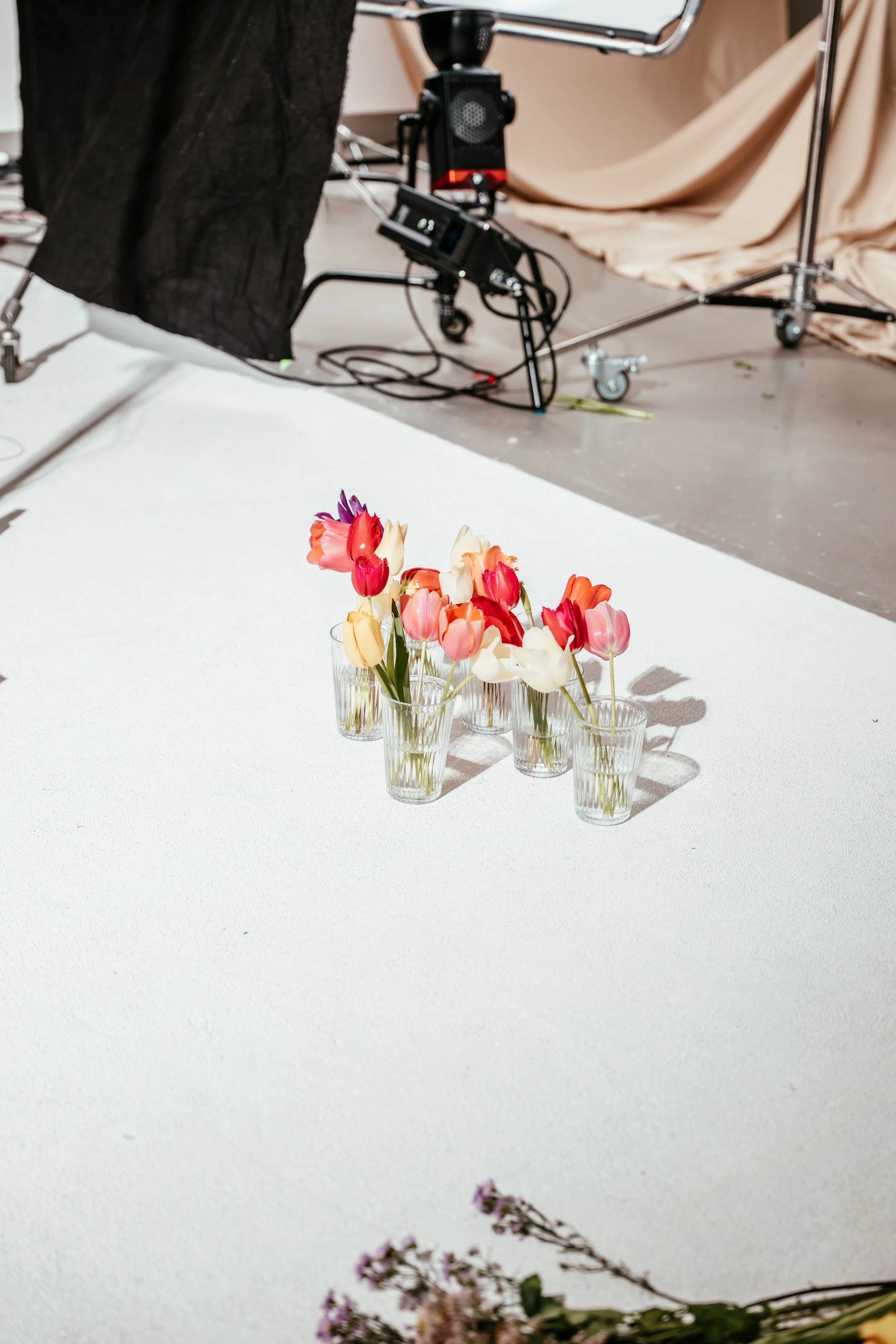 Bunte Tulpen in Gläsern auf einem weißen Boden, im Hintergrund Filmtechnik und ein schwarzes Tuch.