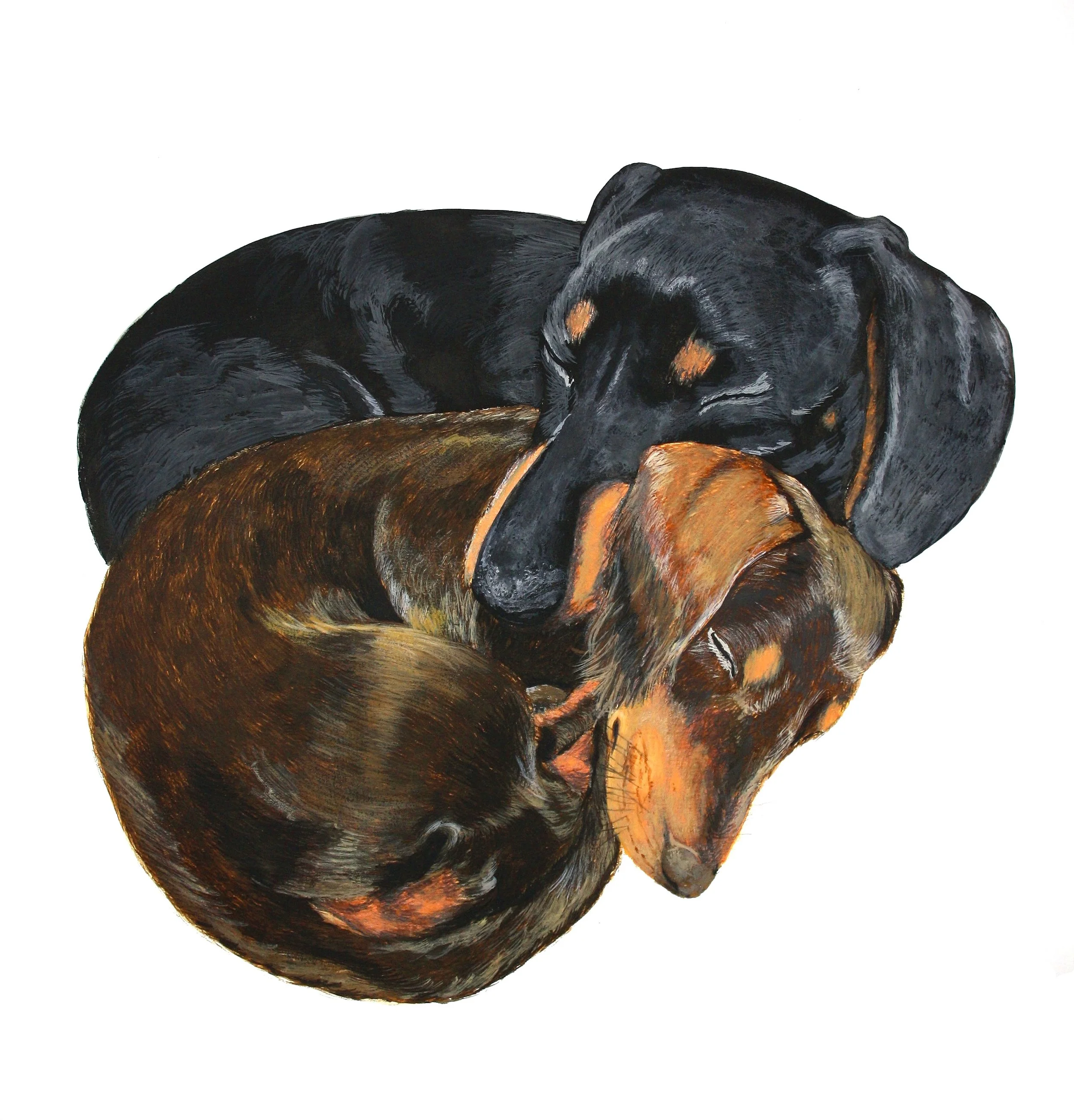 Tuba and Mia (2026) Watercolour on cartridge paper - 42cm x 42xm