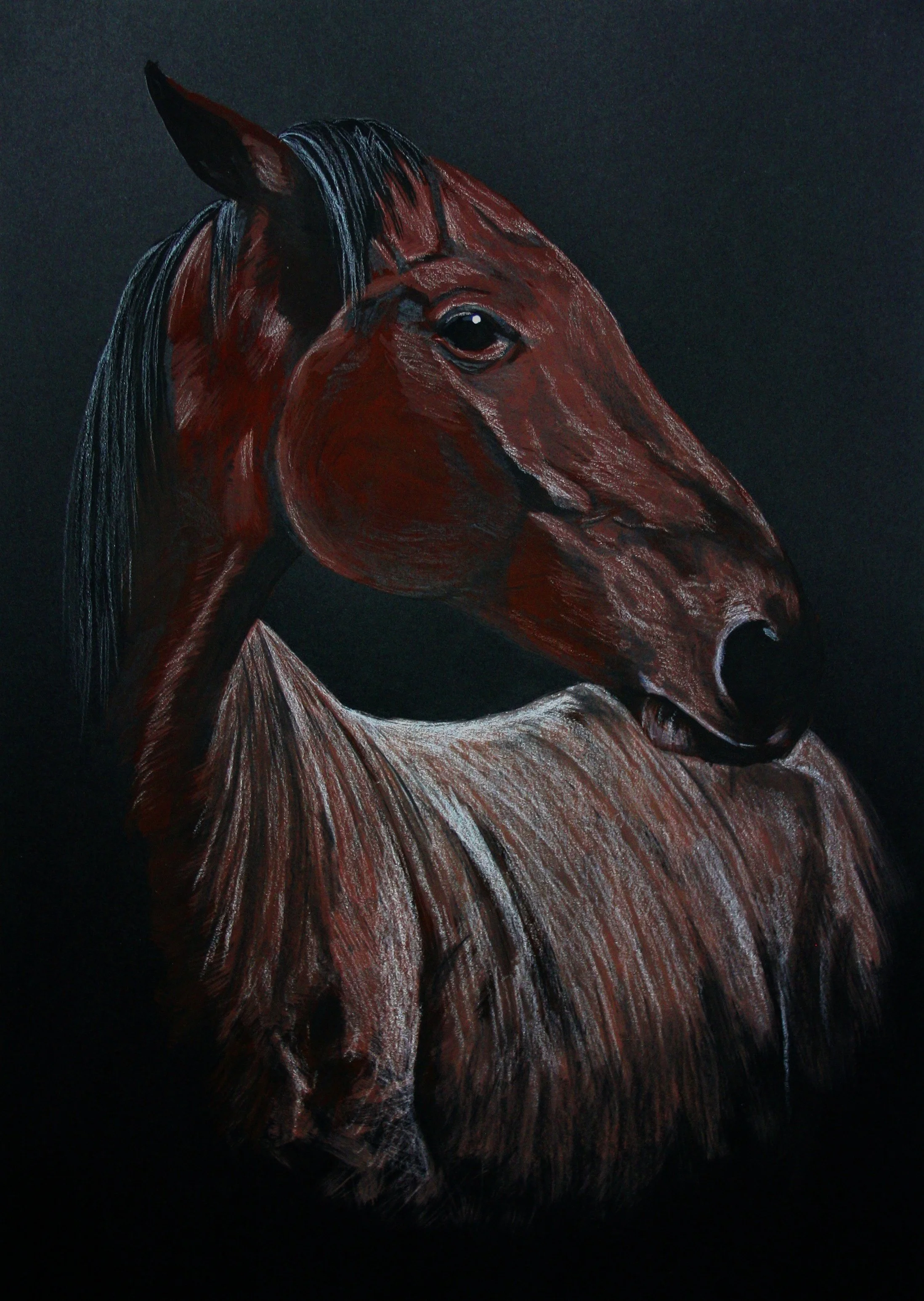 Allan (2026) Acrylic/pencil on black cartridge paper - A4 29cm x 21cm