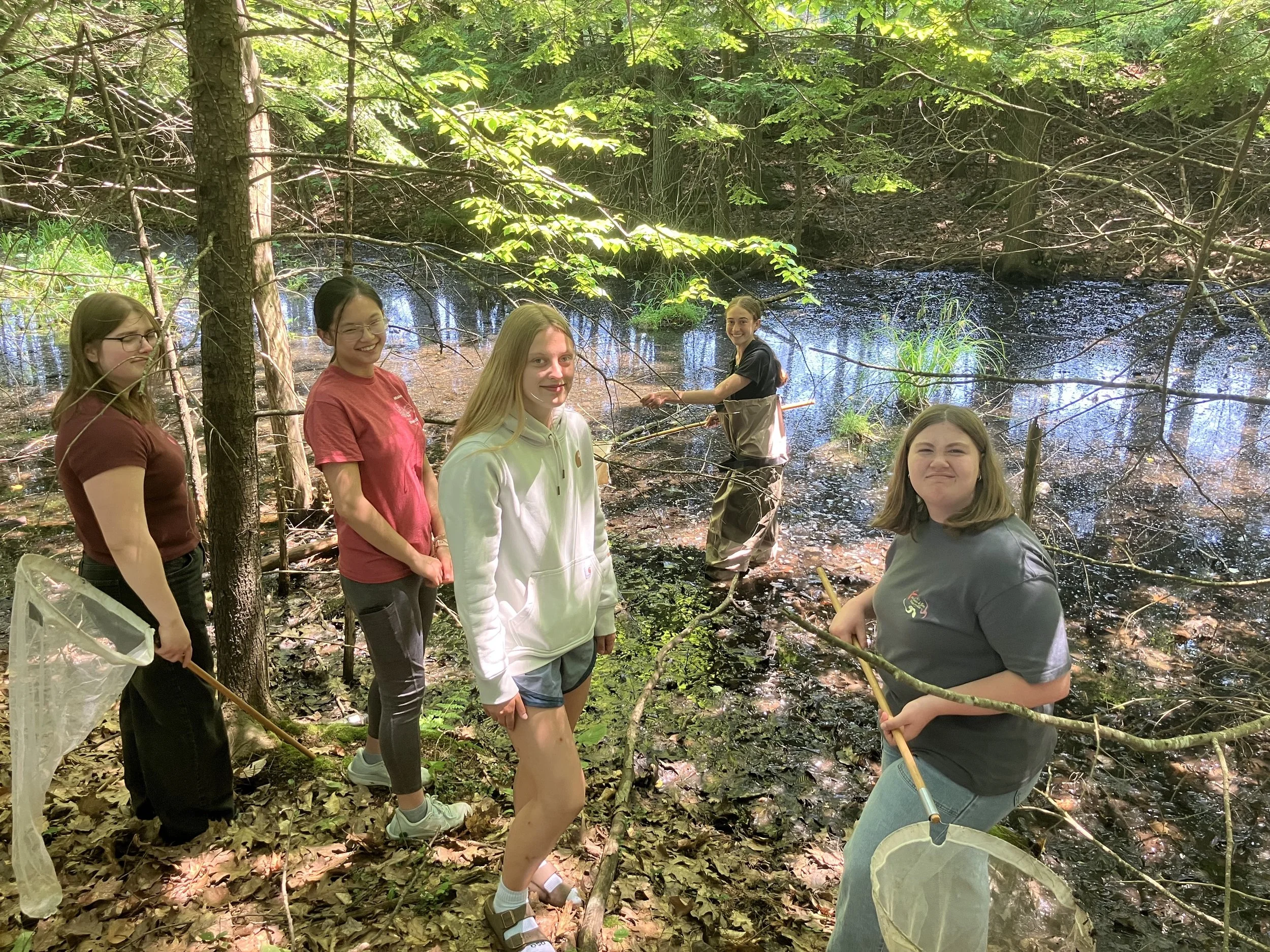Divas exploring a bog