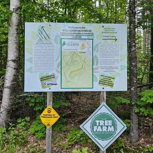 Williamsburg Forest.jpg