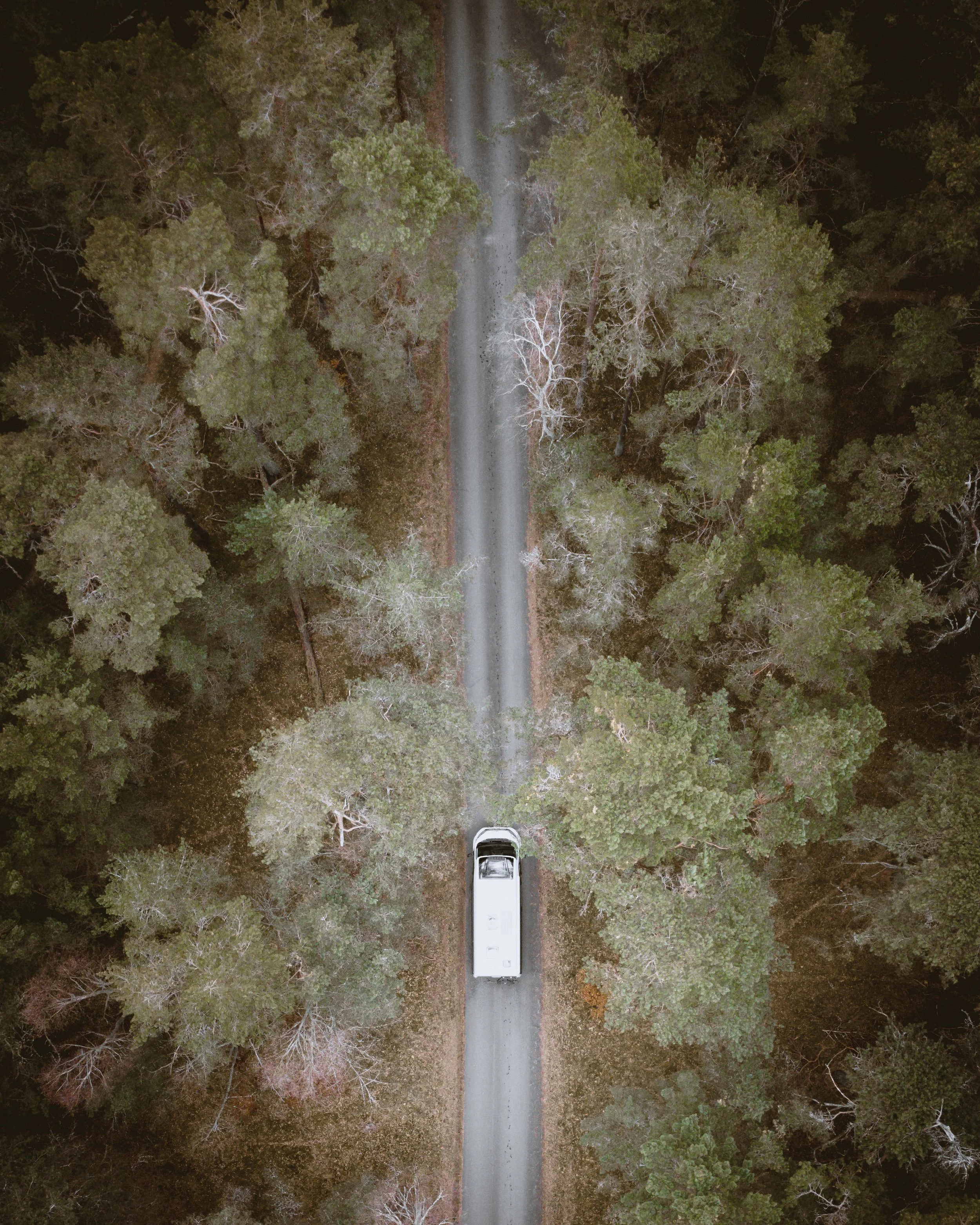 DJI_0048.jpg