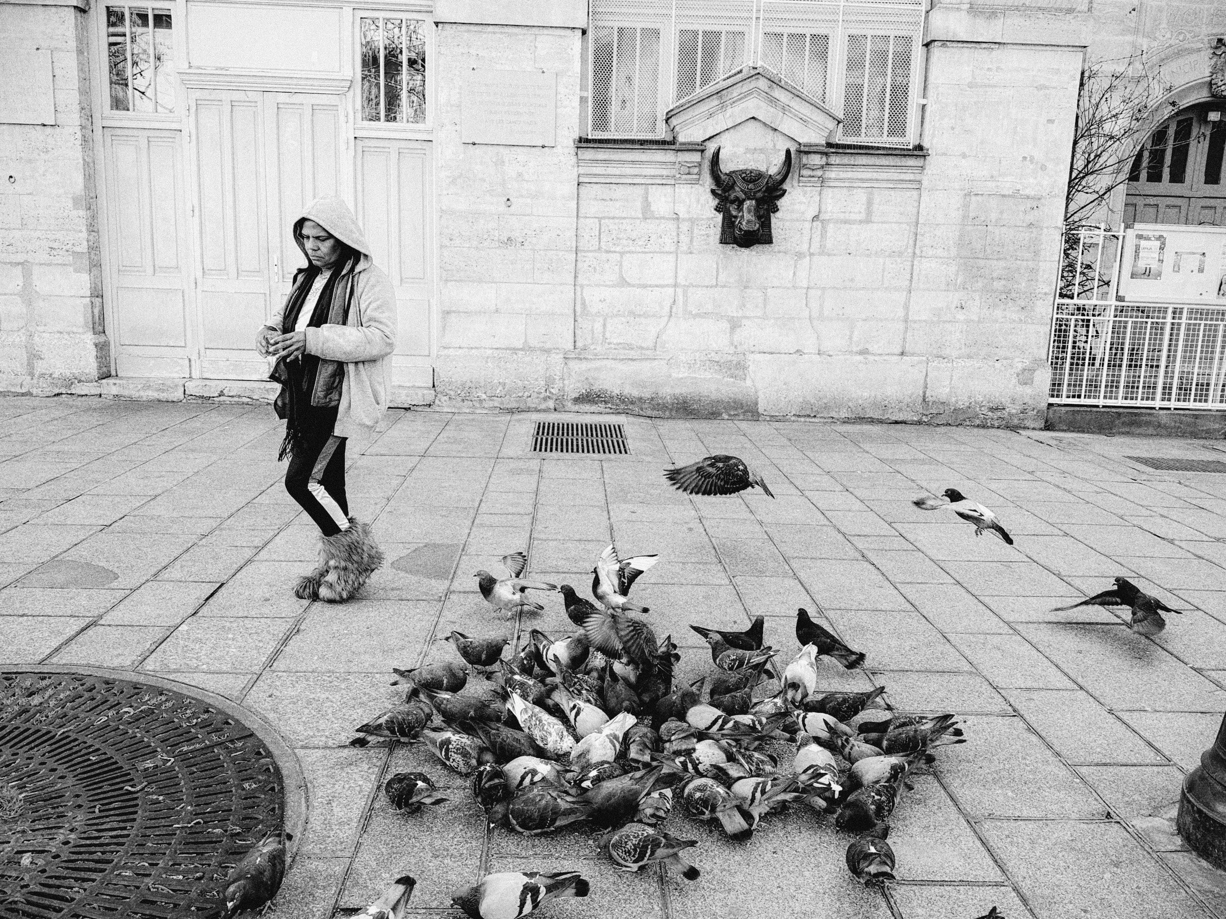 Archive-24.jpg