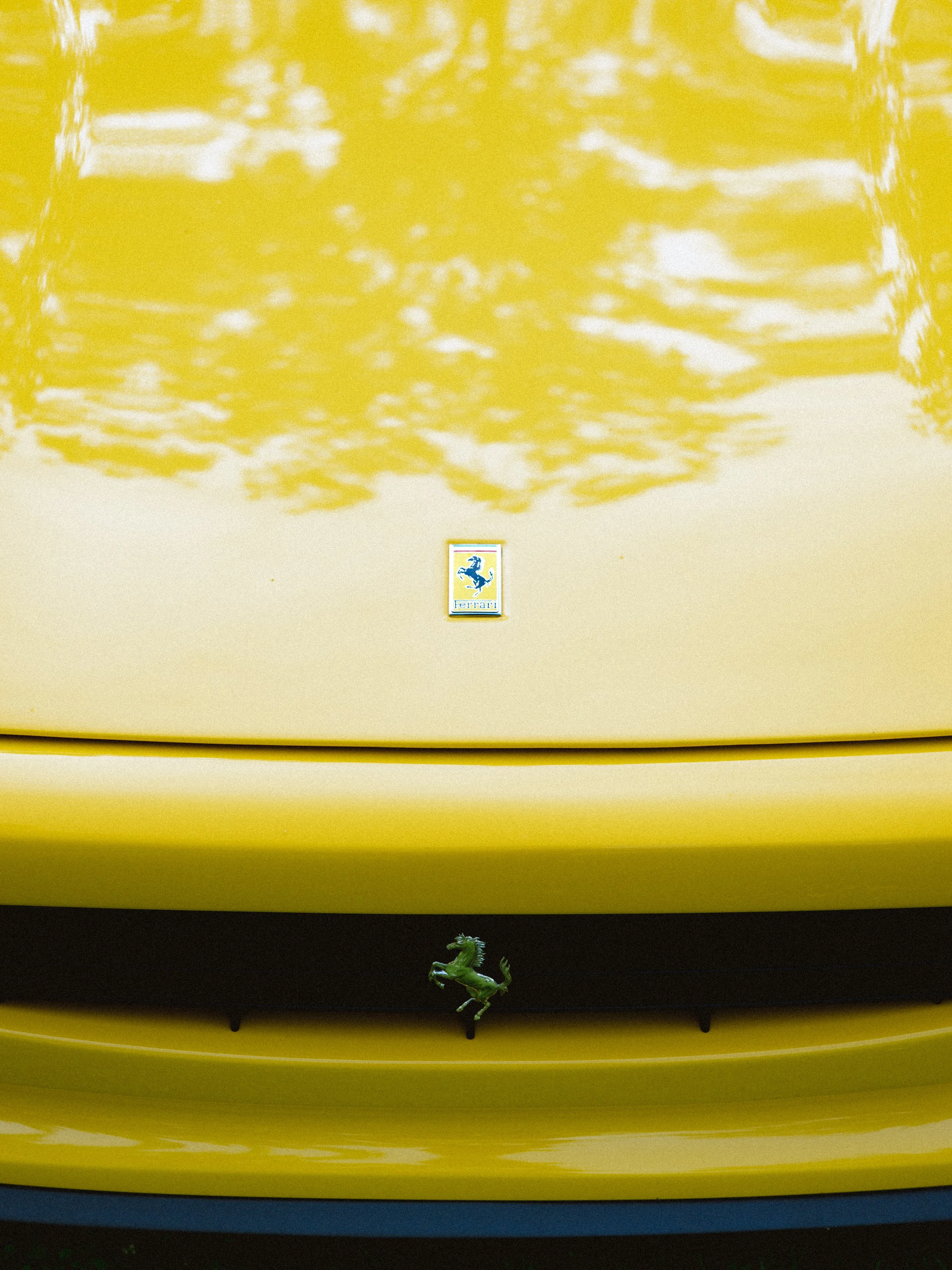 aurora2026-10.jpg