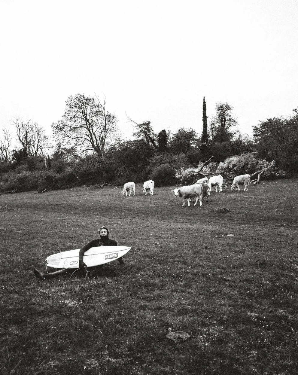 Screenshot 2026-03-30 at 11.23.58.png