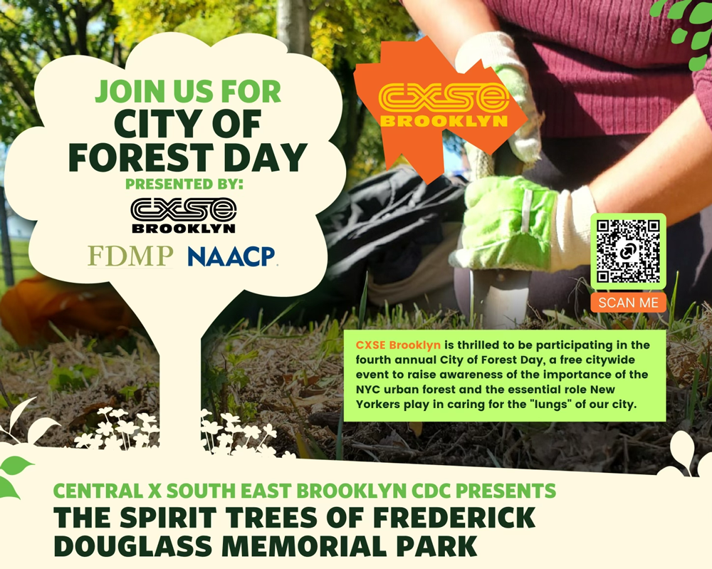 City of Forest Day
