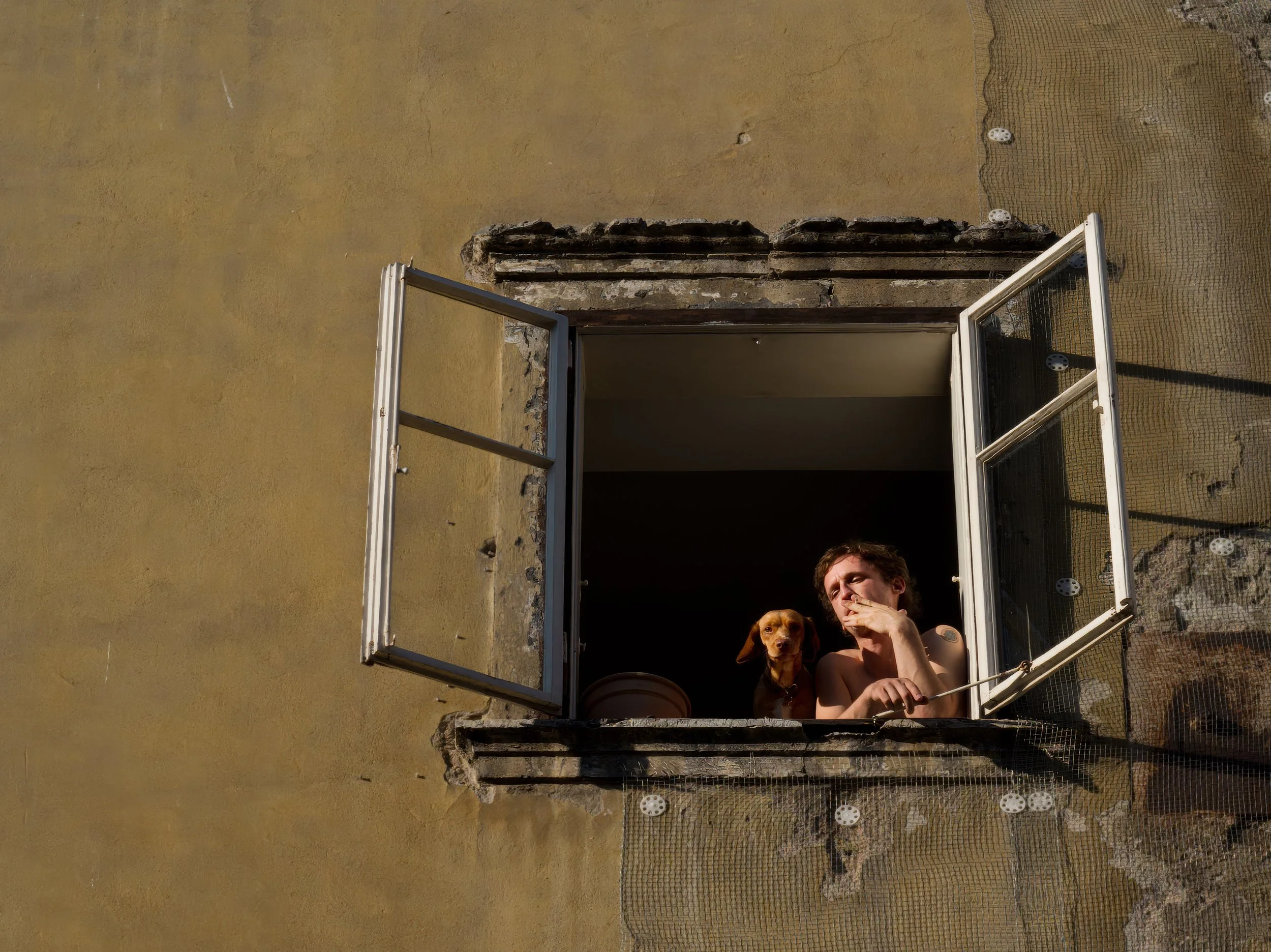 Cinematic portrait of a man and dog framed by an open window in warm evening light