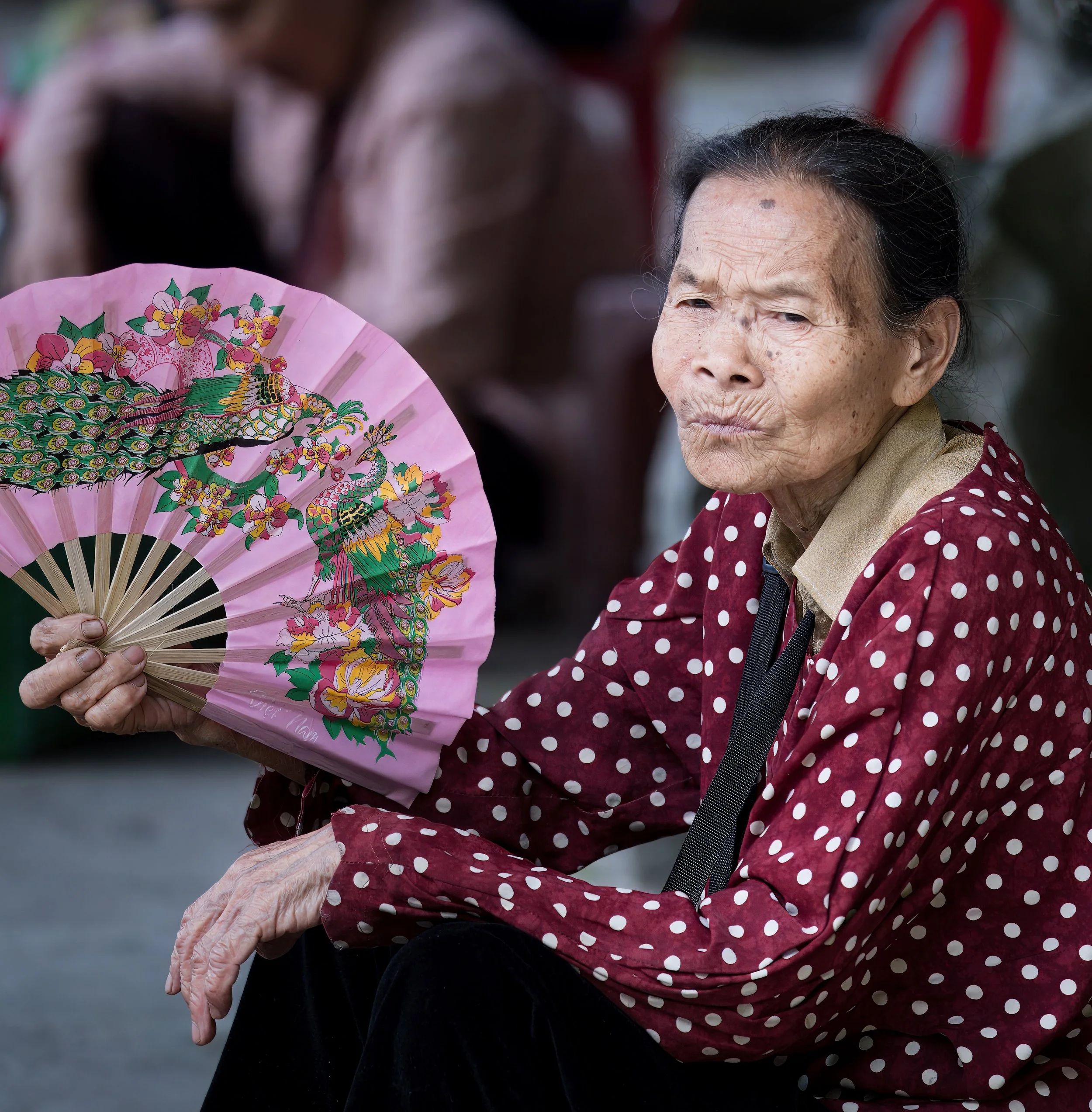 Portrait of an older woman in Ninh Binh holding a decorative fan in soft natural light