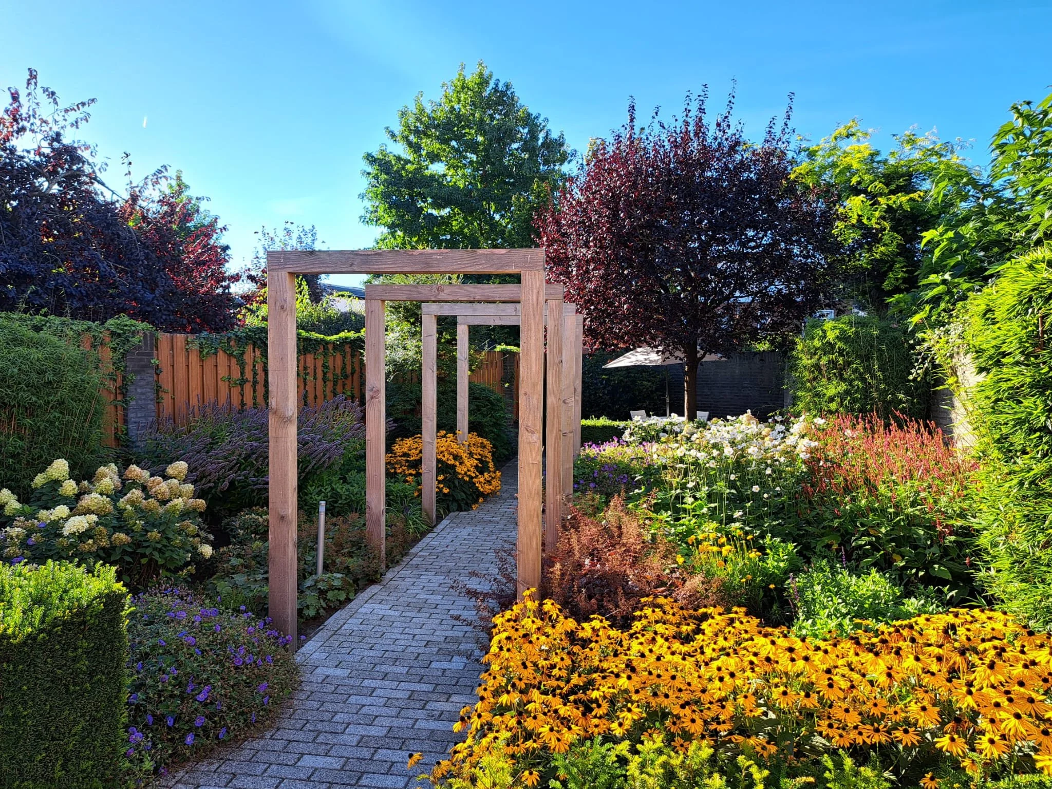 WhatsApp Image 2023-09-05 at 11.31.04 (1).jpeg