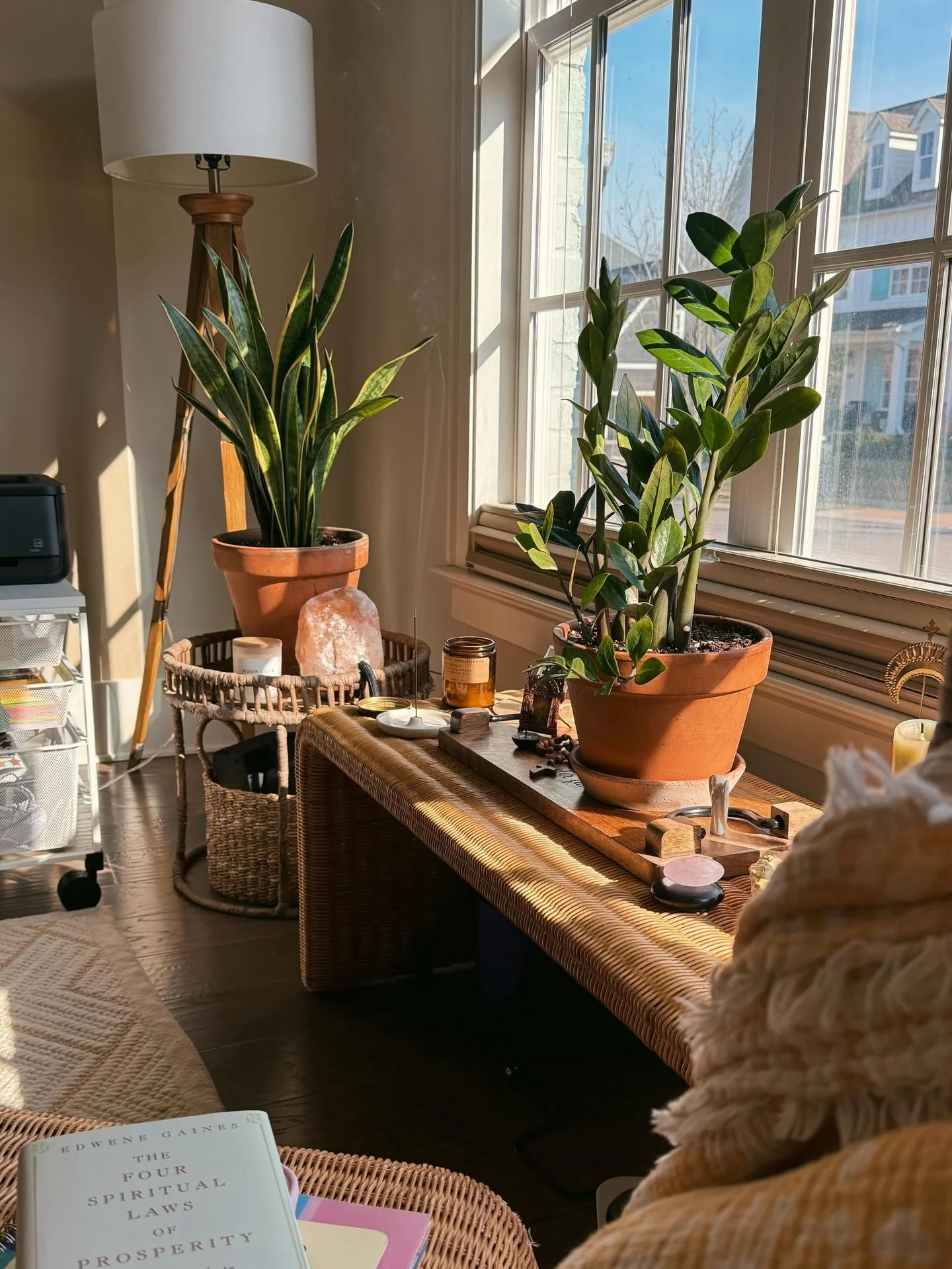 Snapshots of the day. Reading for @carrie_cullen_ &lsquo;s Life-Changing Books Club. The first meeting of said club (excellent, btw). My side table with the best-smelling candle in the world (smoked pistachio). Fruit leaf tea with dog in my lap (both