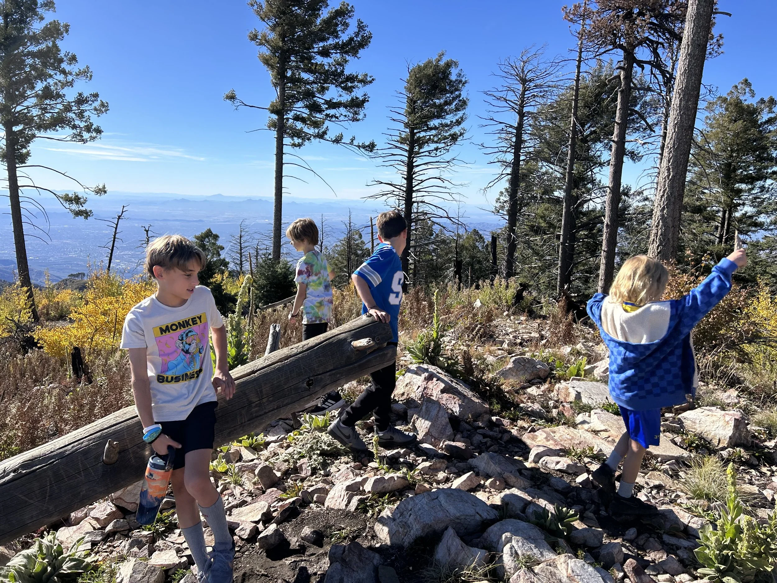 Jews on the MoveIMG_7156.jpeg