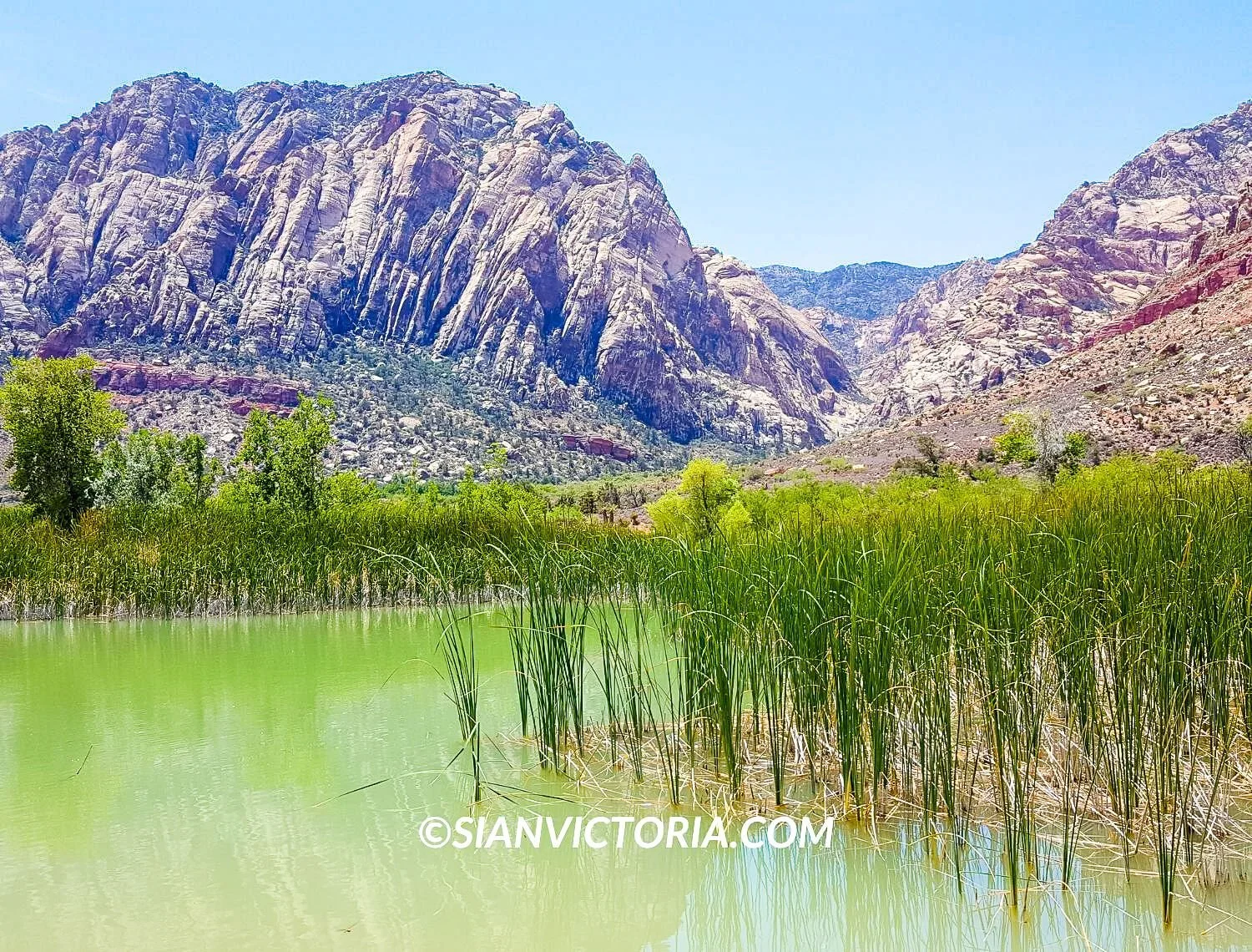 Guide to Visiting Spring Mountain Ranch State Park in Las Vegas — sian ...