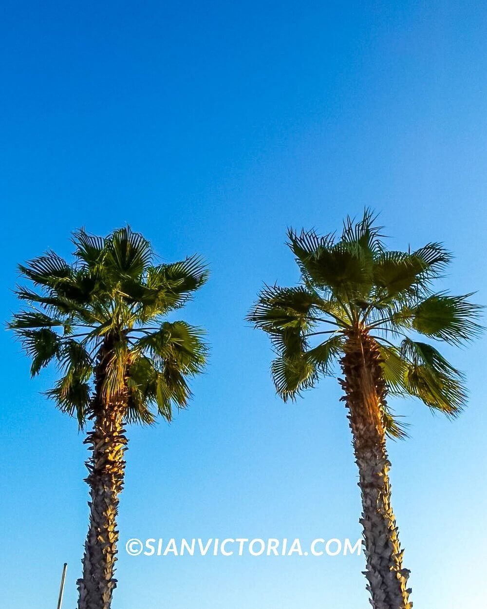 sian-victoria-salou-spain-tourist-sightseeing-attractions-beach-sea-viewpoints-Catalonia-travel-costa-dorada-palm-trees-blue-sky.jpg