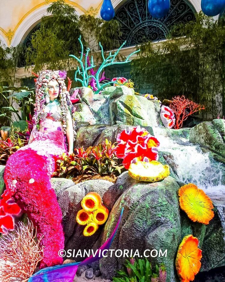 Sian-Victoria-bellagio-hotel-resort-las-vegas-nevada-america-sightseeing-tourist-attractions-fountain-botanical-gardens+(14).jpg