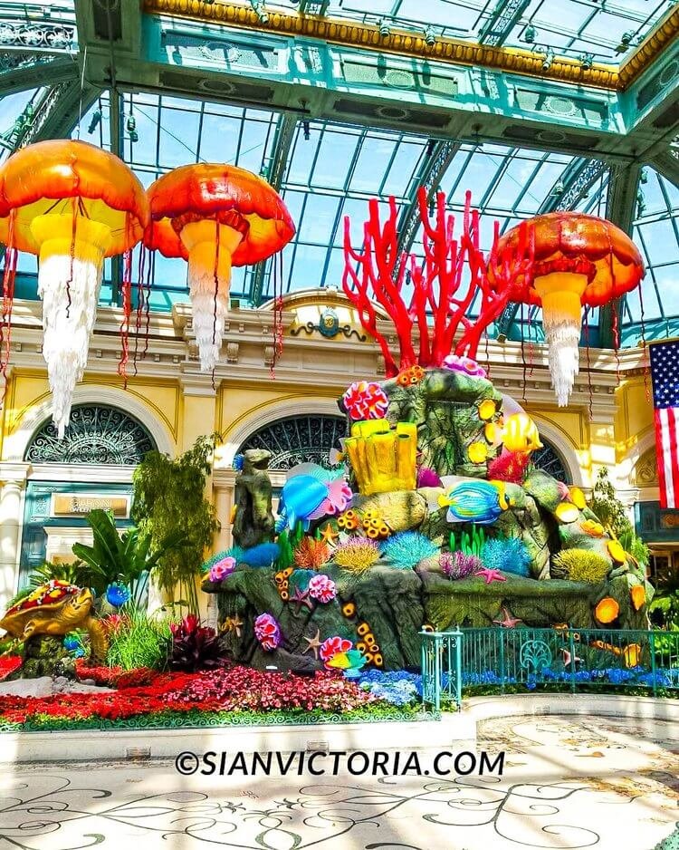 Bellagio Las Vegas: A Guide for Tourists & Guests Visiting — sian victoria