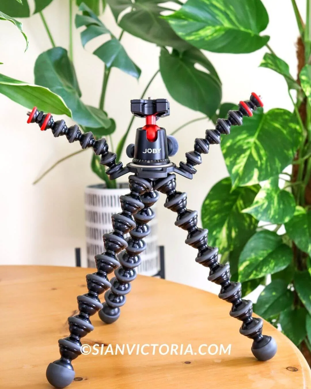 7 Best Photography & Video Equipment for Content Creators — sian victoria