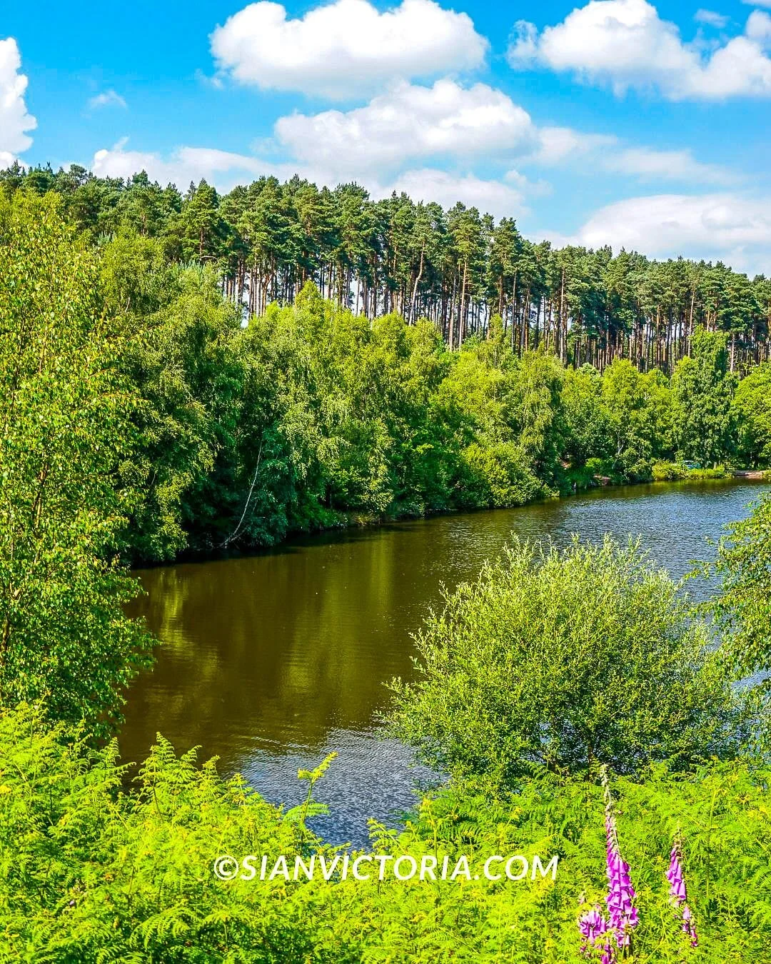 Midlands Forest 15 Best Walking Trails & Nature Reserves in Midlands — sian victoria
