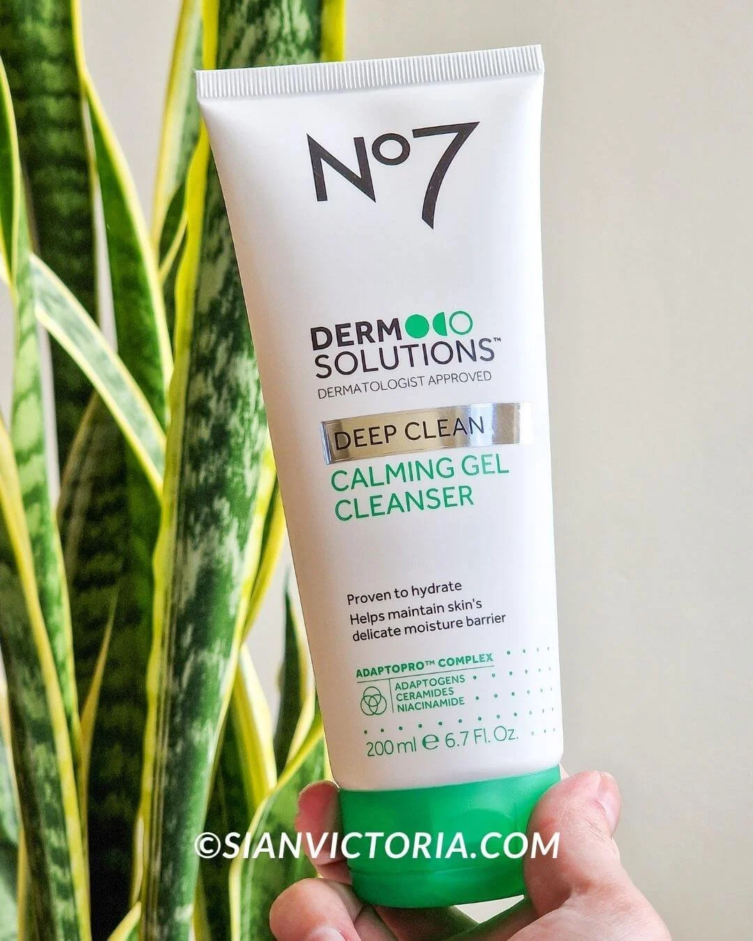 a hand holding a no7 skincare cleanser with a snake plant in the background