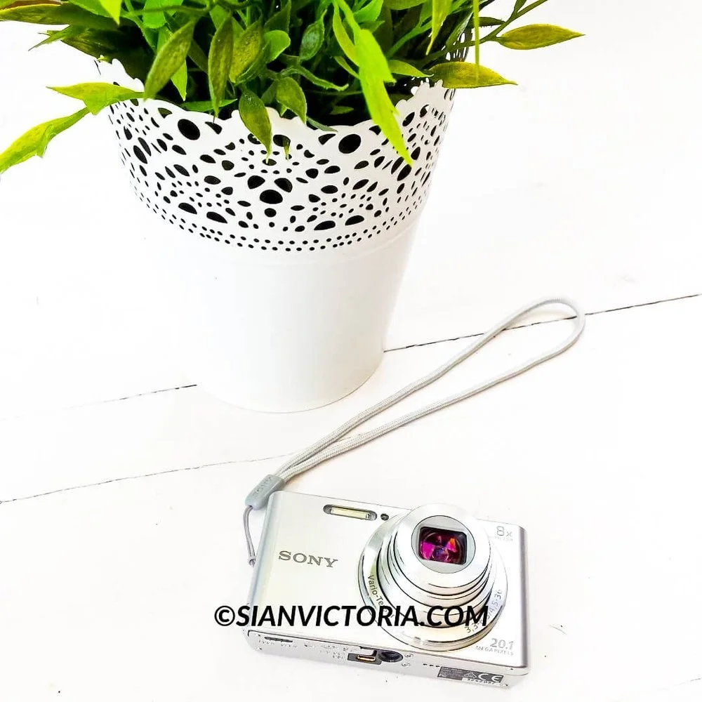 Sony Cybershot W830 Camera: Review & Photo Quality Examples — sian victoria
