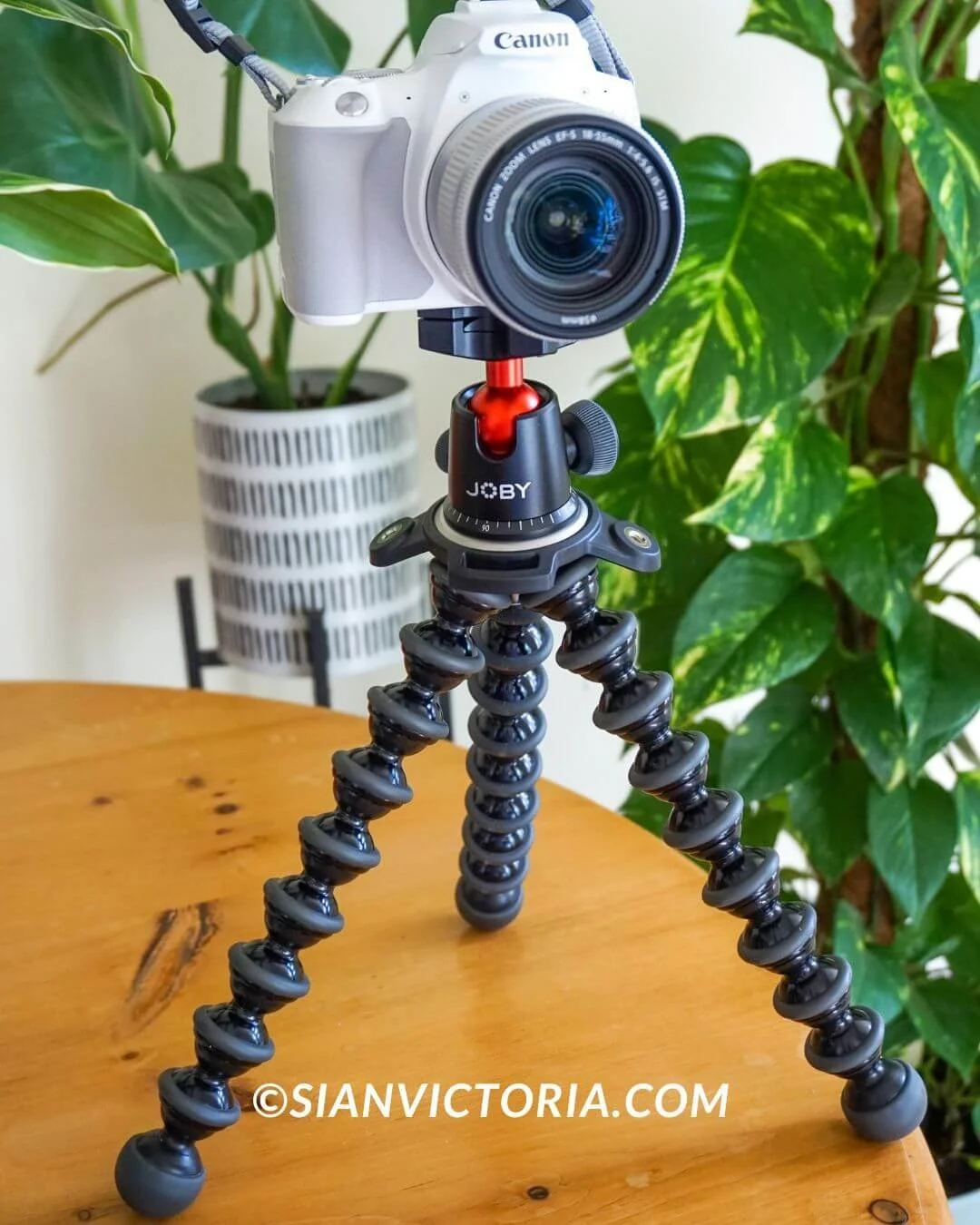 7 Best Photography & Video Equipment for Content Creators — sian victoria