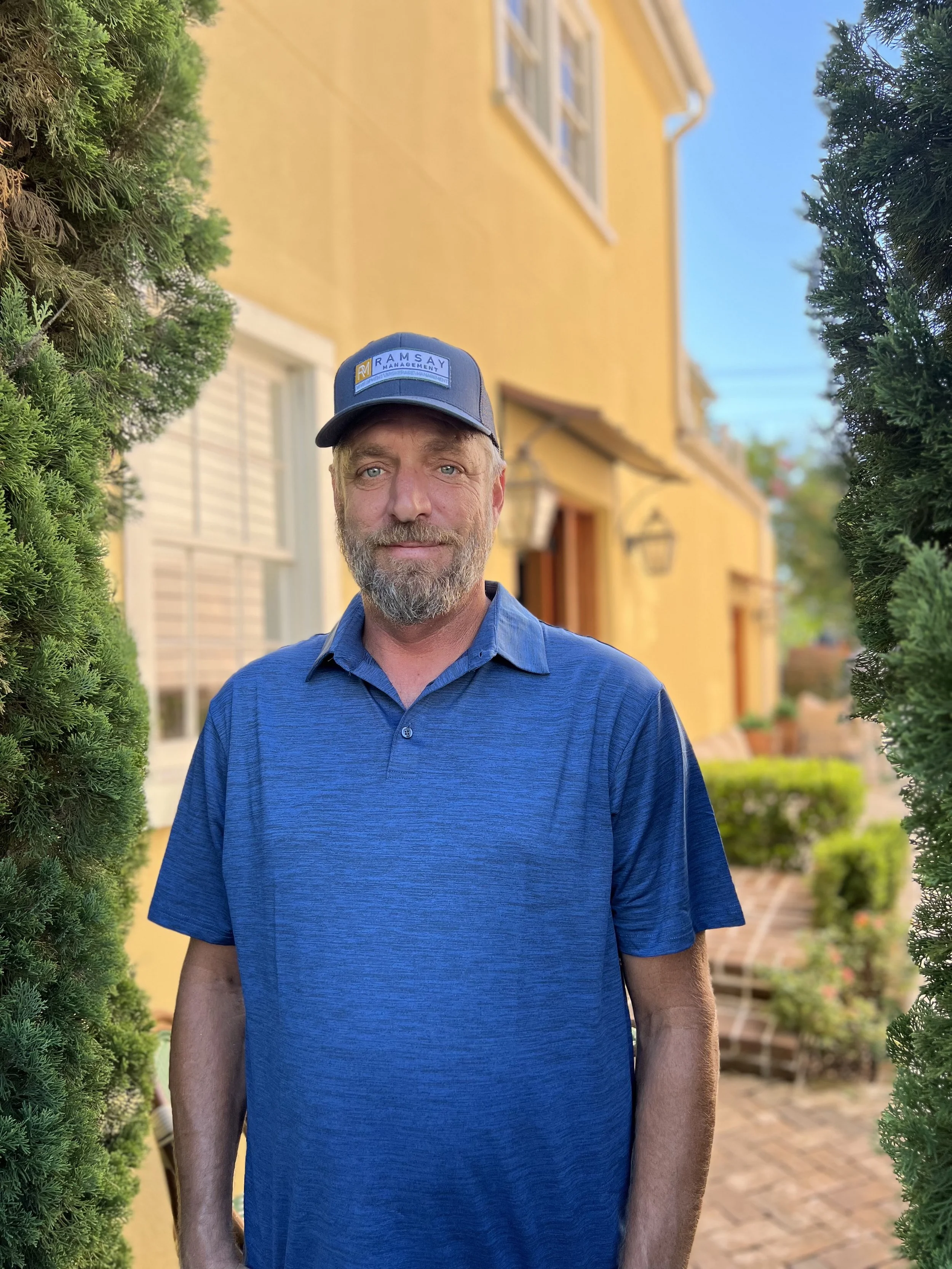 Four tall palm trees against a clear blue sky.