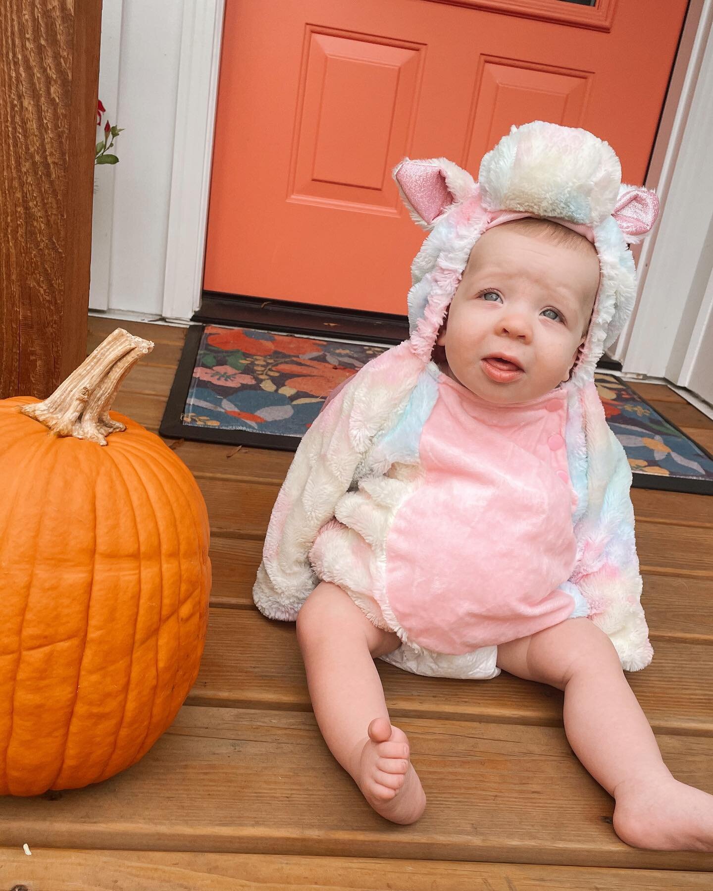 when you take hundreds of photos of halloween Auggie &amp; these are the winners 🎃🦄🐈&zwj;⬛