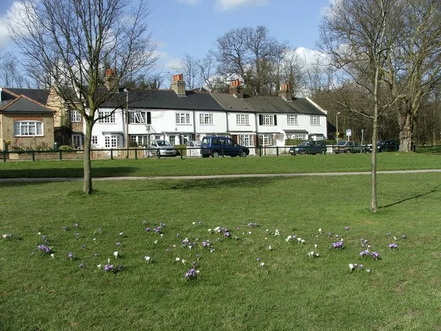 Chase Green Litter Pick
