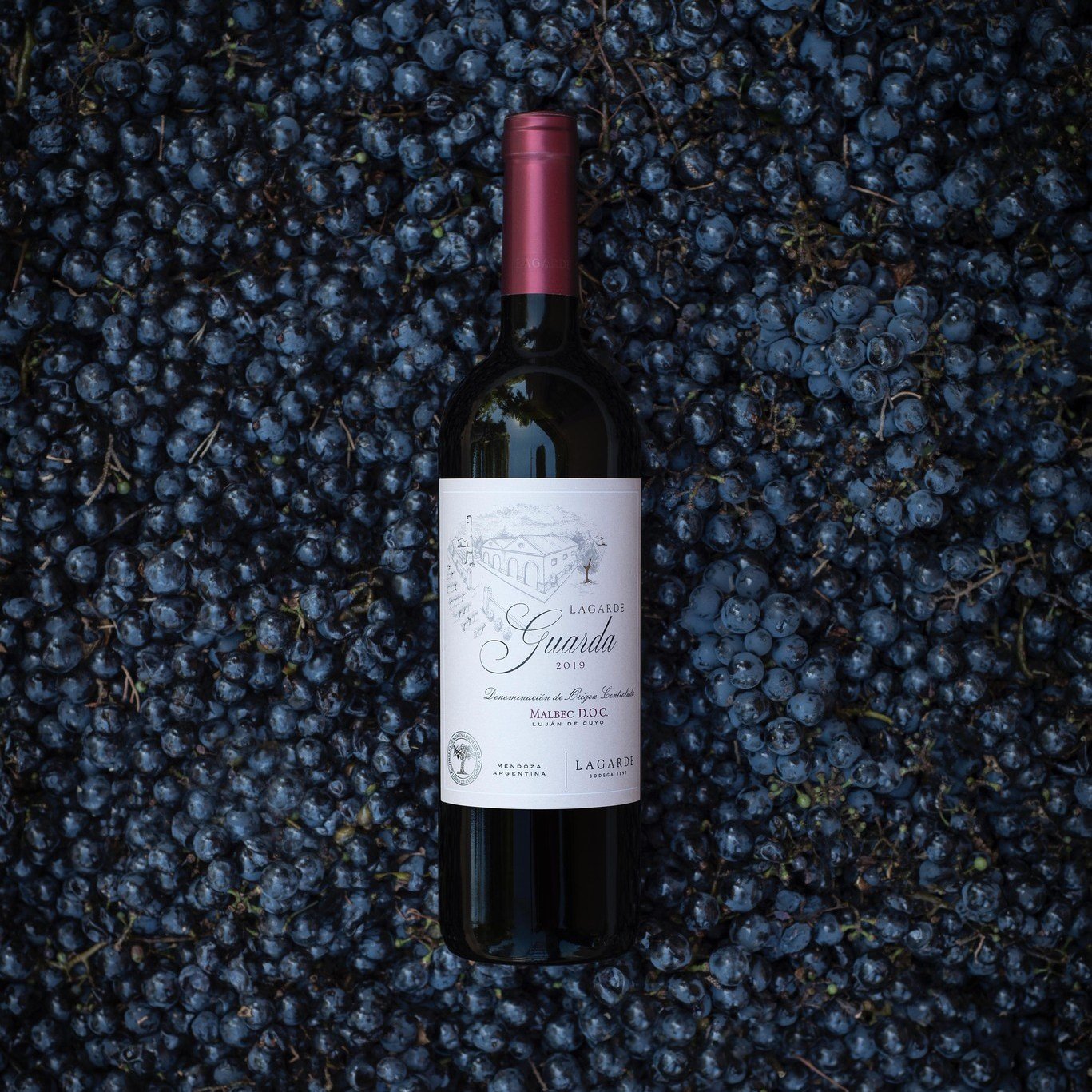 Happy World Malbec Day! 
 
Every April 17th we celebrate and honor the iconic grape variety that leads Argentina's winemaking industry.  Over 150 years ago, Malbec made its way from France to Argentina where it currently thrives in high-altitude vine