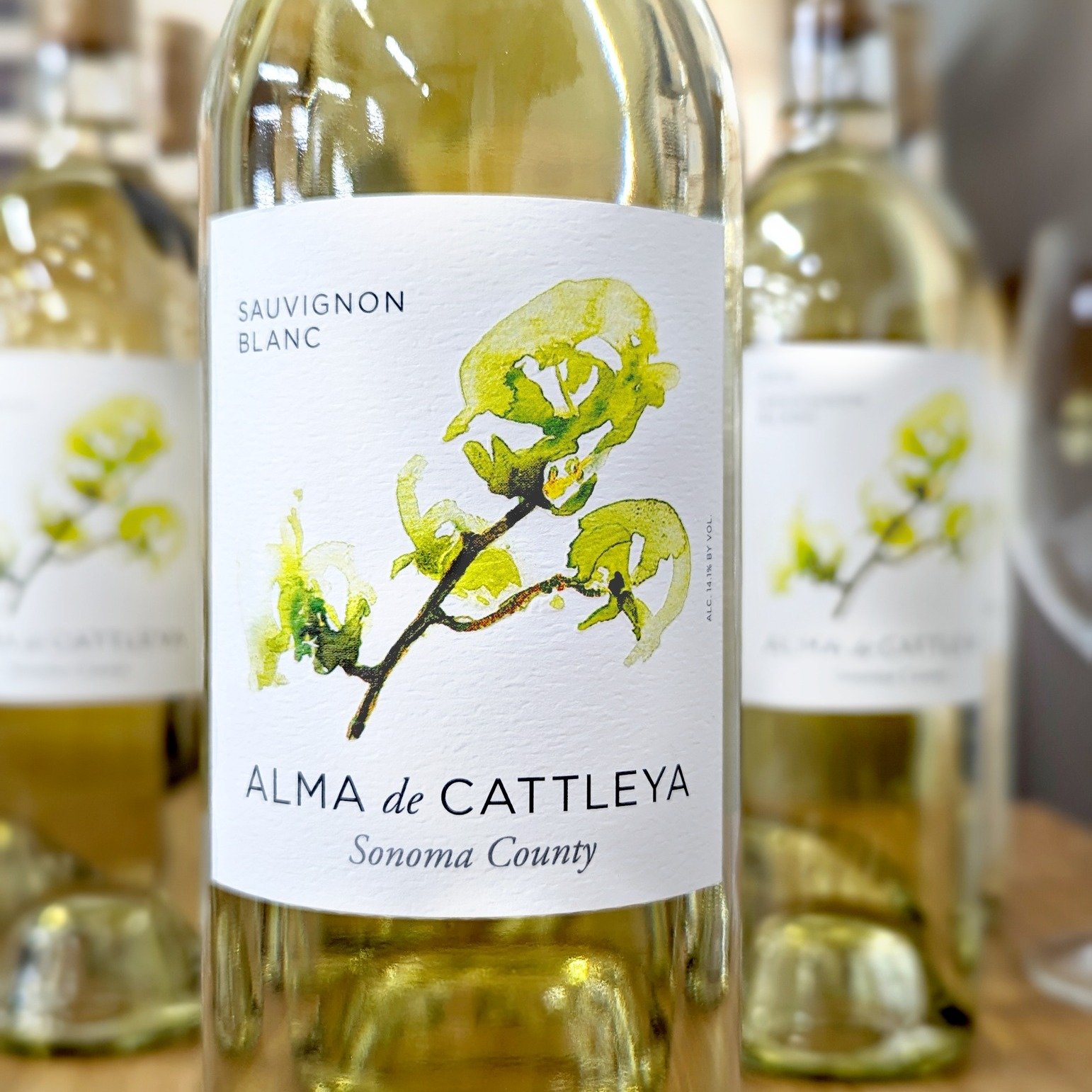 Alma de Cattleya is a California Success Story! 

One of our most beloved California suppliers, Alma de Cattleya, was recently featured in the April 30 2024 issue of Wine Spectator, in the article, &quot;California Success Story&quot;, about a new wa