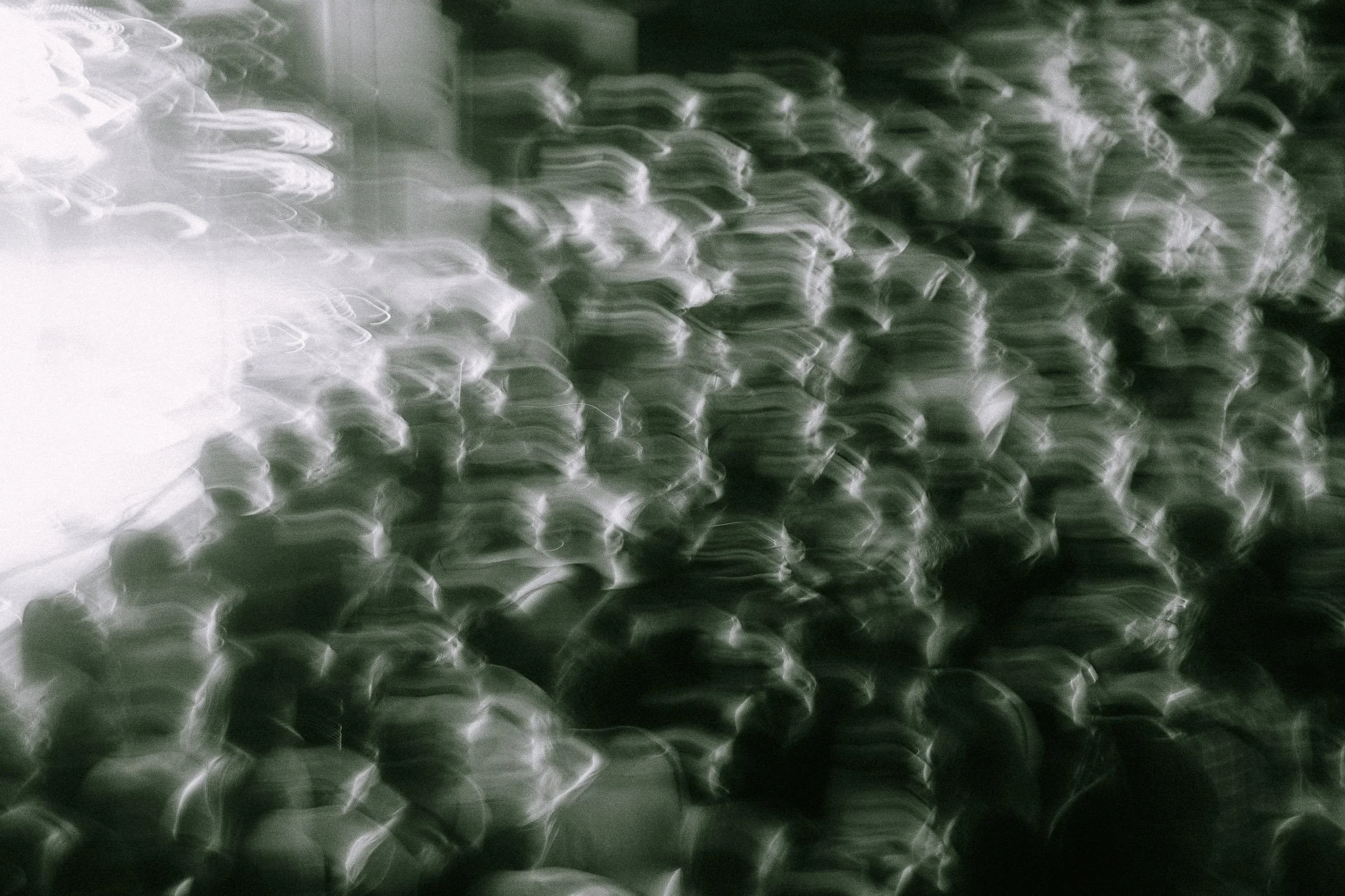 insta export-4768.jpg