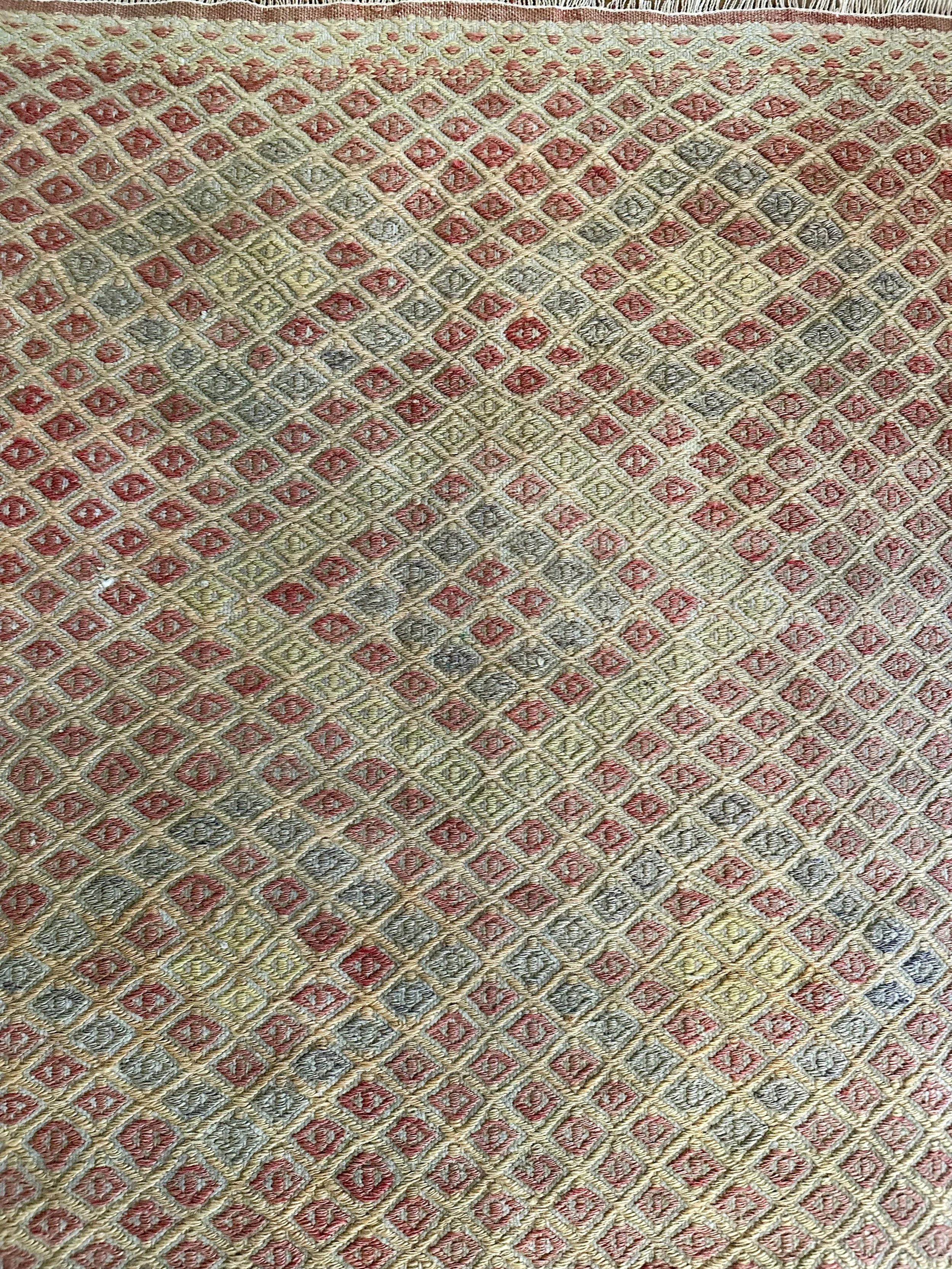 IMG_3695.jpeg