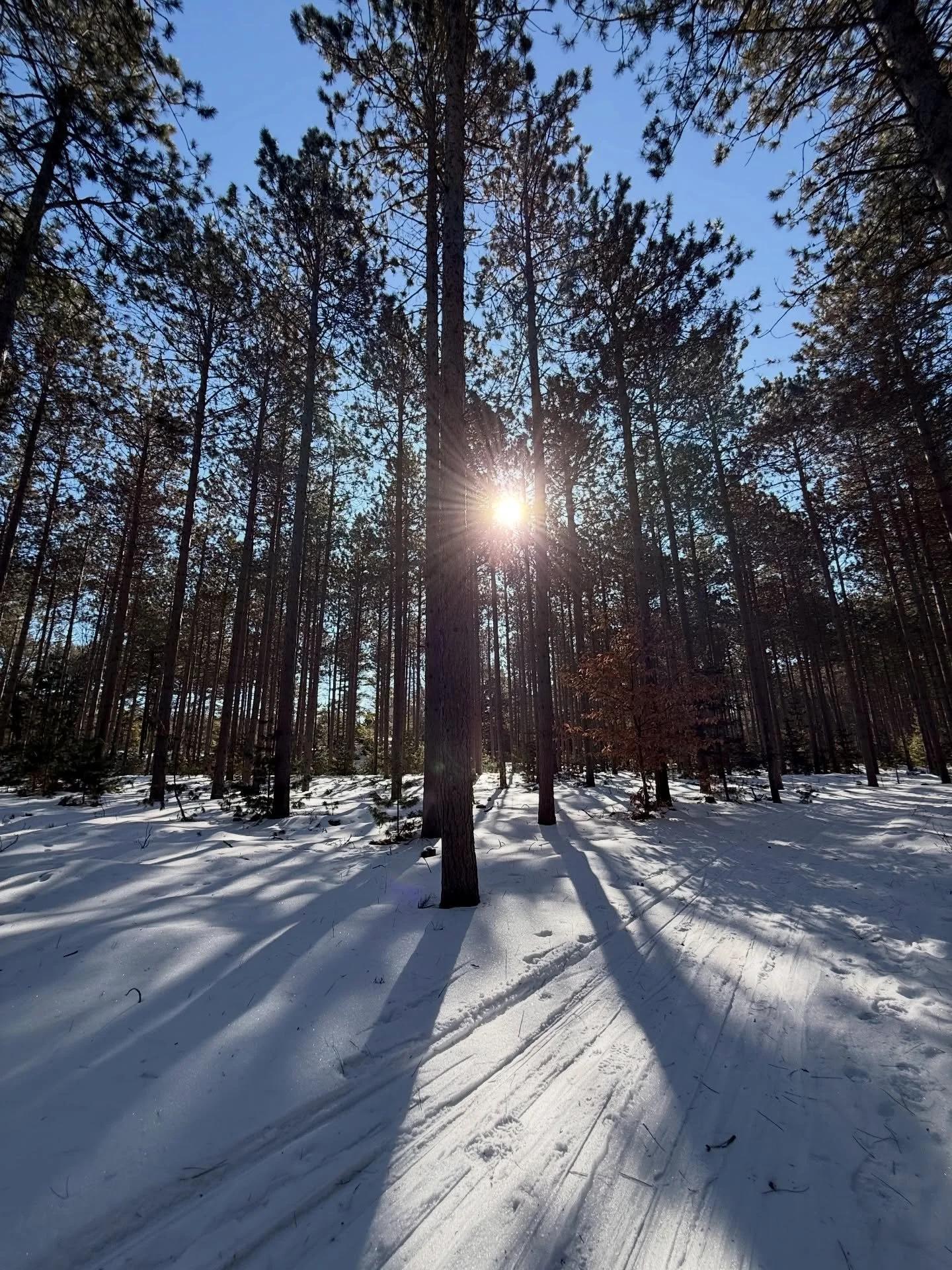 LOCAL GREEN BAY, WI MEETUP🥾🥾

Nothing intense, nothing fancy&mdash;just a chill walk on the trails and good company.

If you&rsquo;ve been wanting to get outside, move a little, and meet some local people, come join us for a laid-back hike in Green
