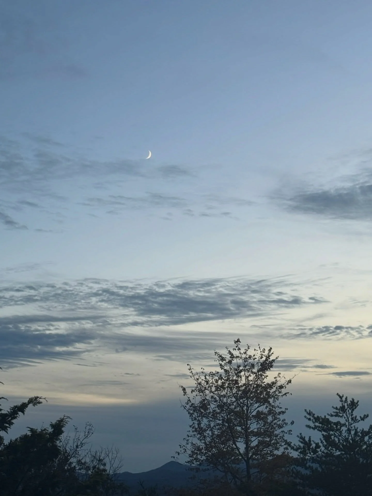 Let&rsquo;s talk about the thoughts that might be holding you back&hellip;

&ldquo; I&rsquo;m not in shape enough&rdquo;
➡️ You don&rsquo;t need to be. This is for ALL levels.

&ldquo; I don&rsquo;t know anyone&rdquo;
➡️ most women won&rsquo;t. That&