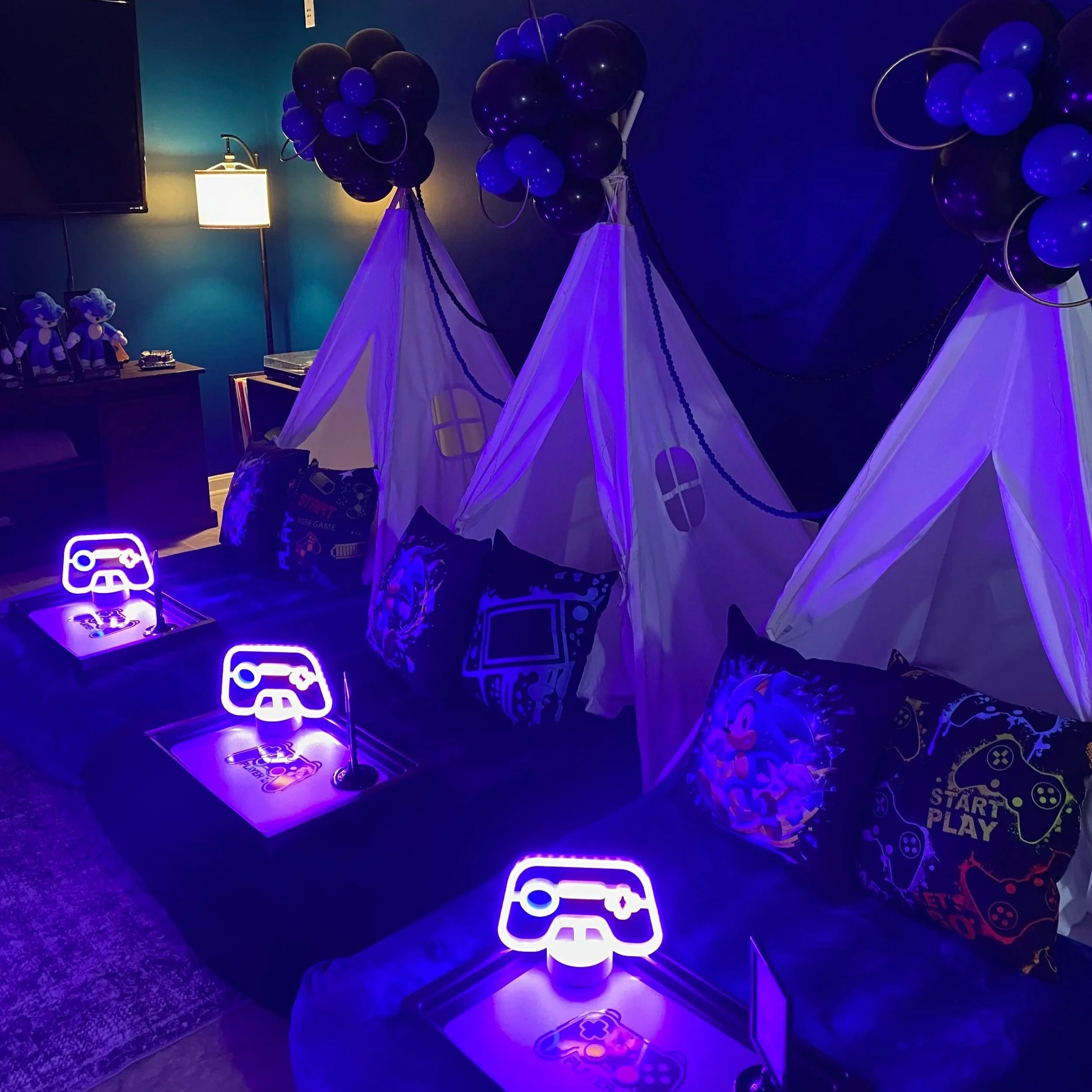 Sonic video game teepee sleepover