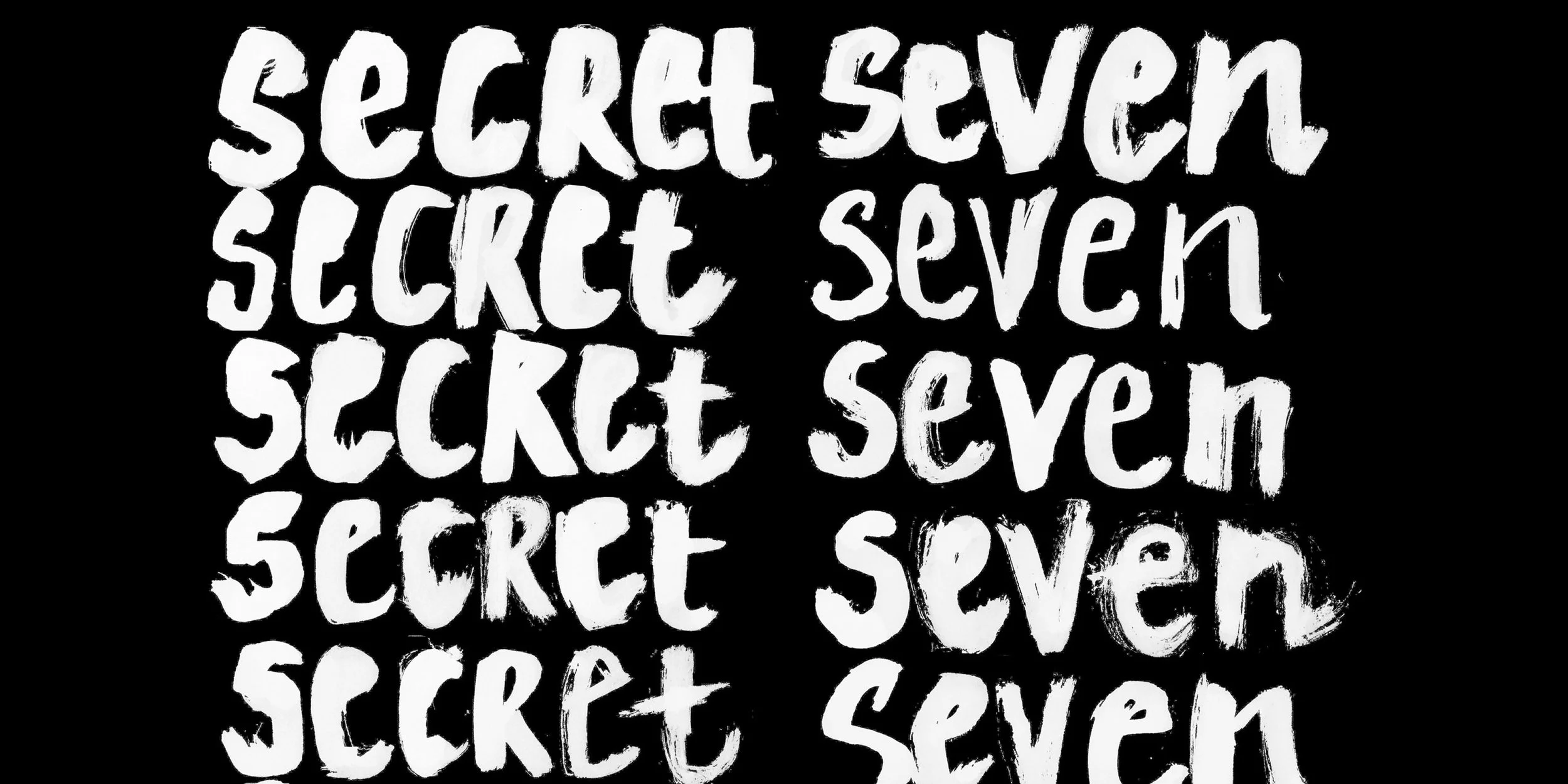 SECRET SEVEN IMAGE 3.jpg
