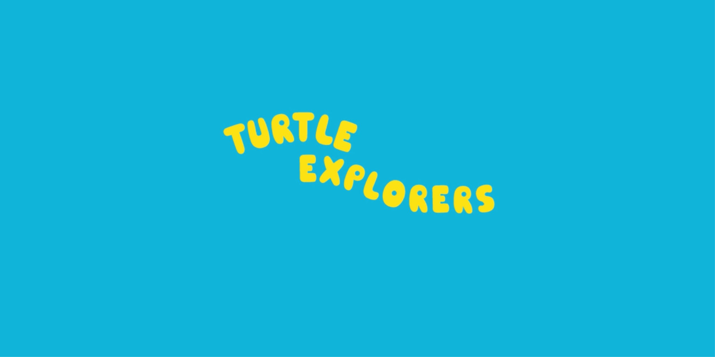 STOVIN-03-TURTLEEXPLORERS-05_Anya Stovin.jpg