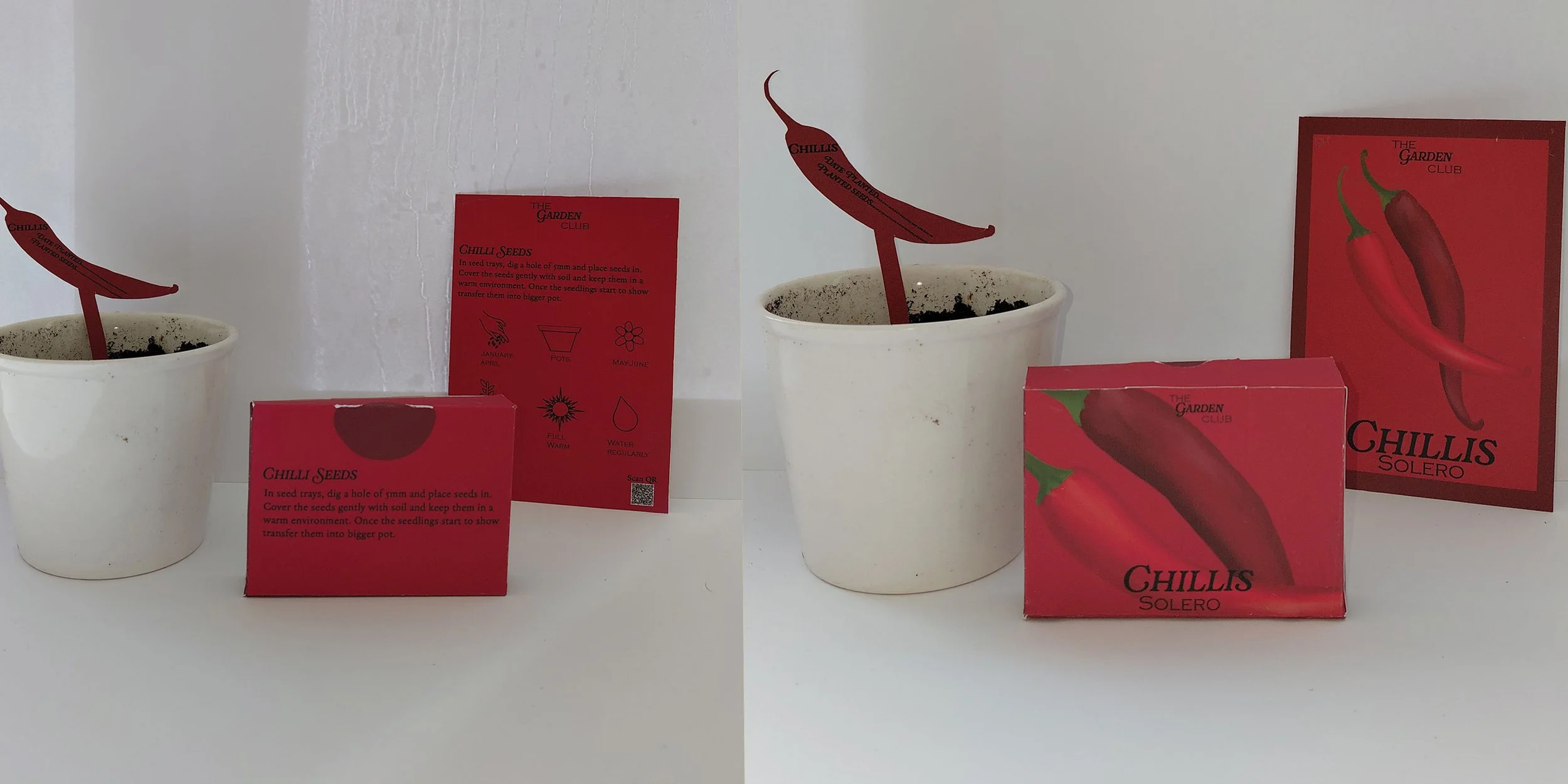 Chloe Gordon-01-The Garden Club 04-1_Chloe-Evie Gordon.jpg