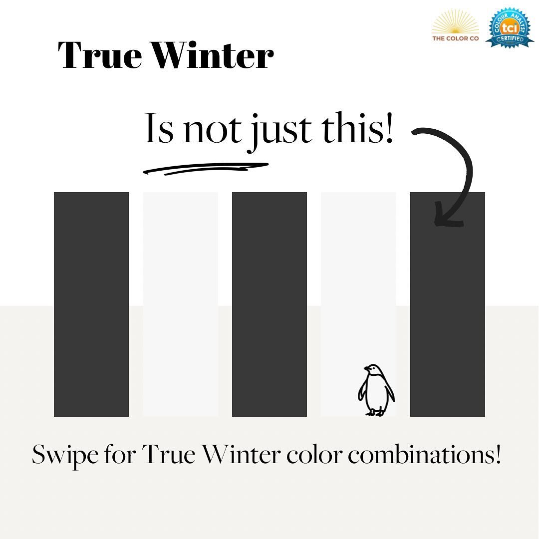 True Winter&rsquo;s look beautiful in the Black + White combination, but there is more! Swipe to see! 👉👀 

#truewinter #winter #coloranalysis #personalcoloranalysis