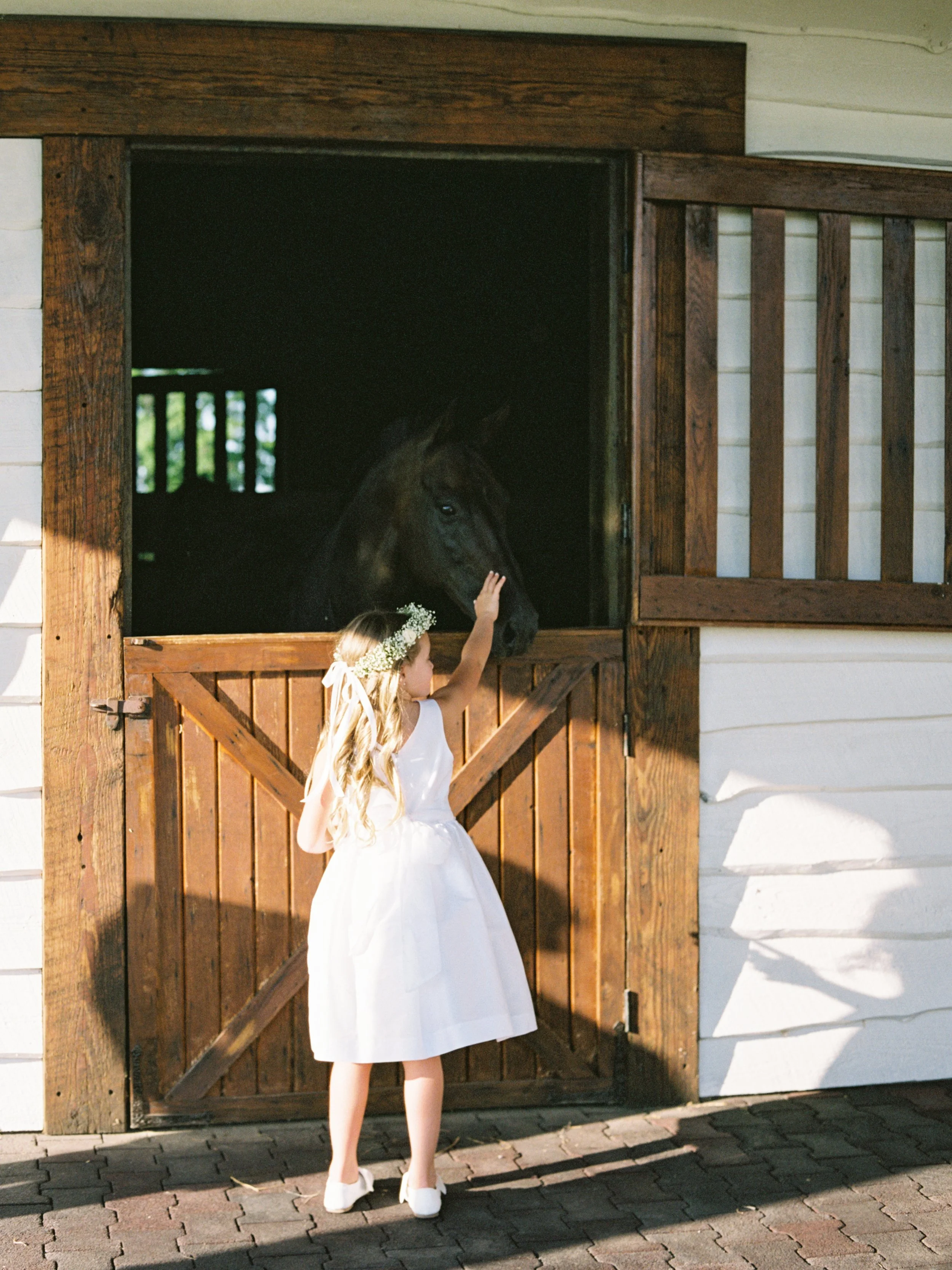 Flower girl in designer dress petting horse during paris, kentucky wedding