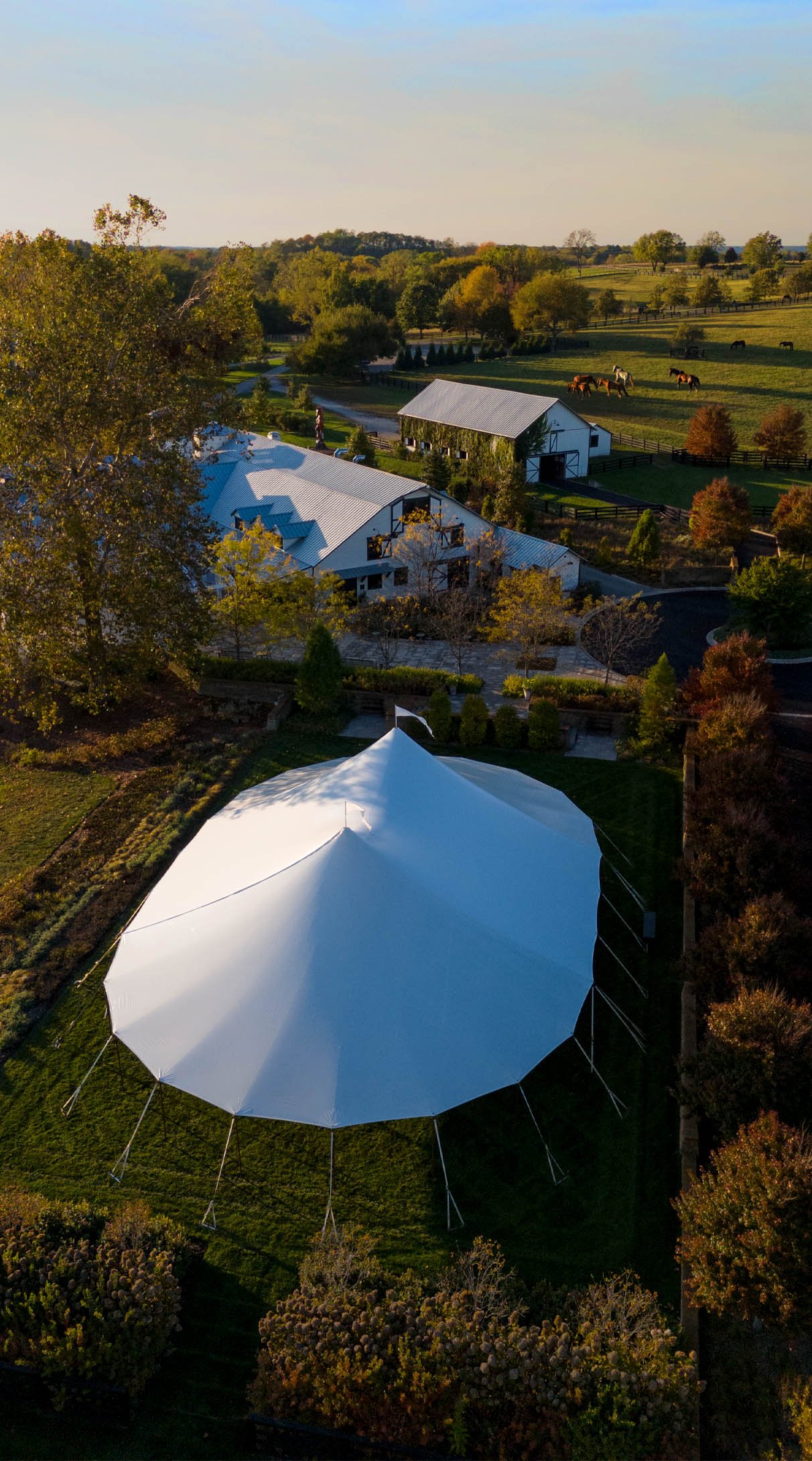Ashbourne Farms Aerial Wedding Design Photography