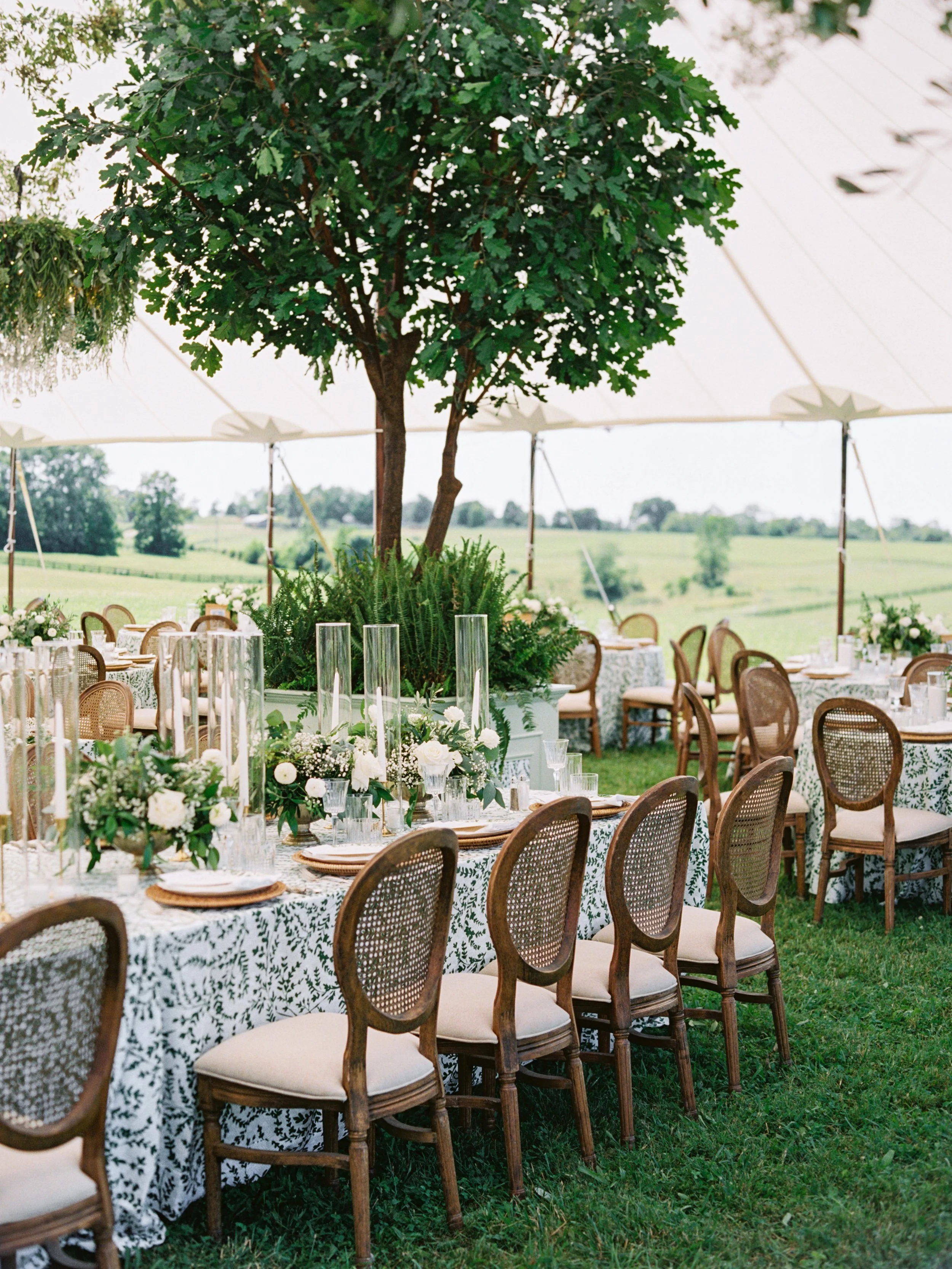 Makers House™ designed luxury wedding tent in Paris, KY at Augustus Hill Farm - editorial green high end wedding design and planning