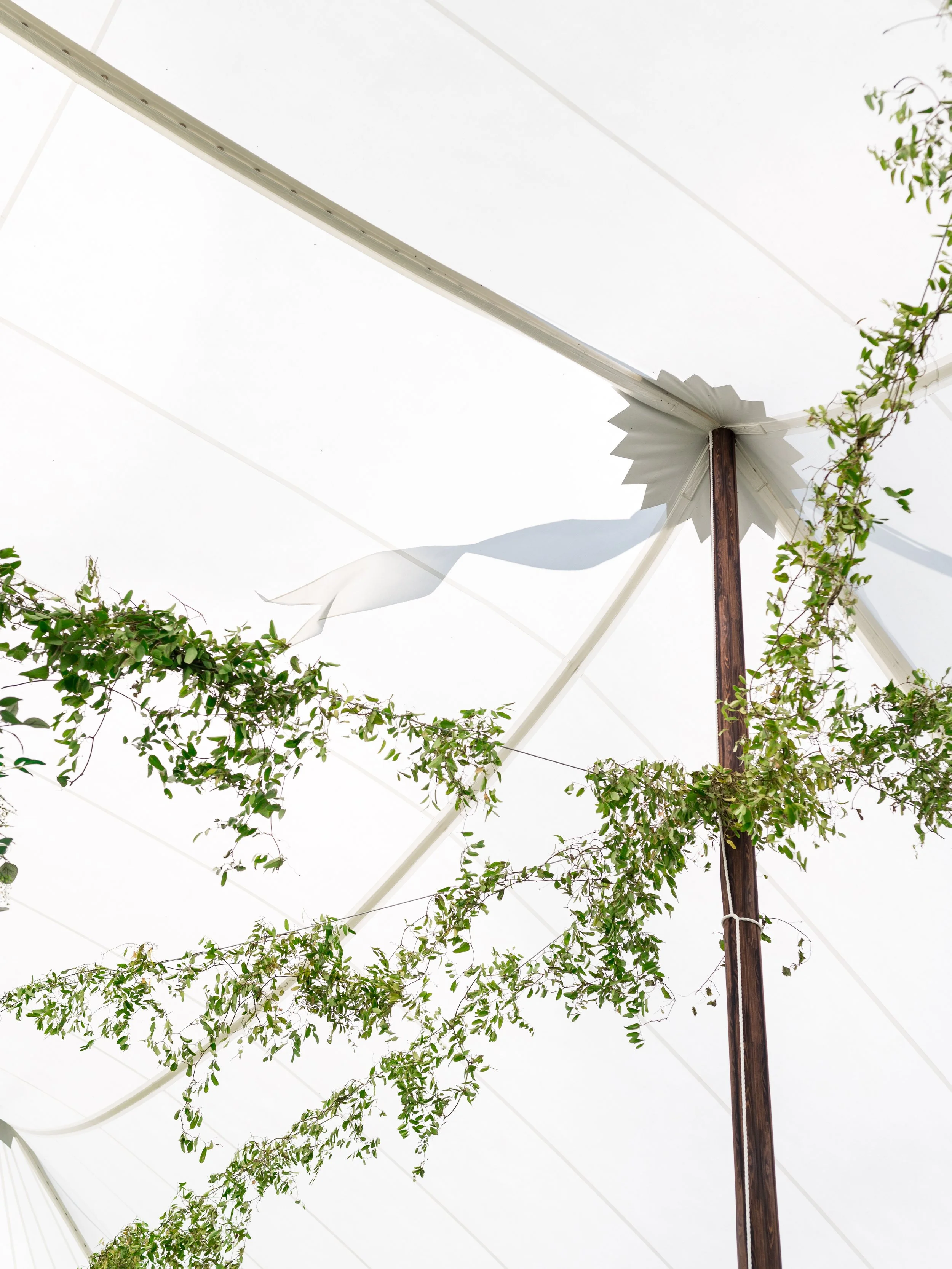 Designer florals for Lexington, KY wedding