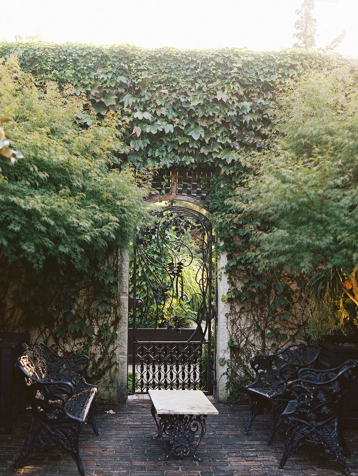 Apiary gardens lexington ky wedding