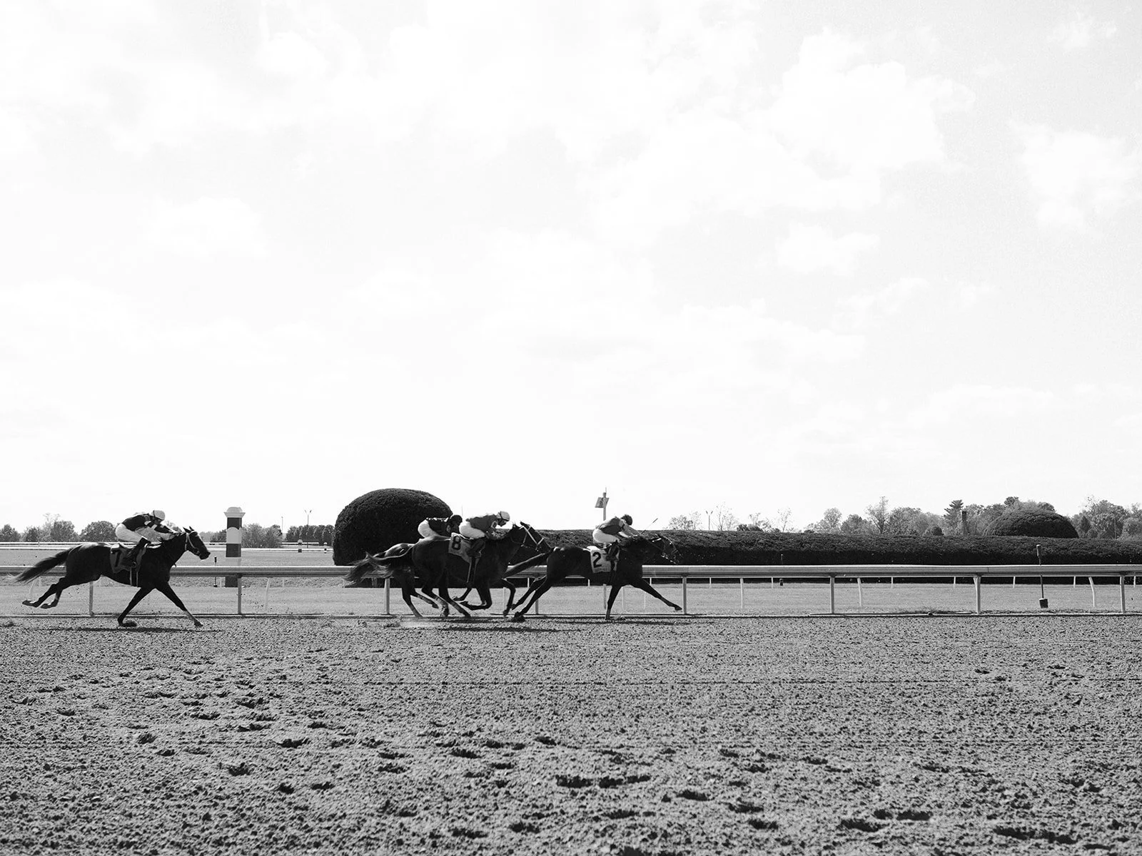 Keeneland-45.jpg