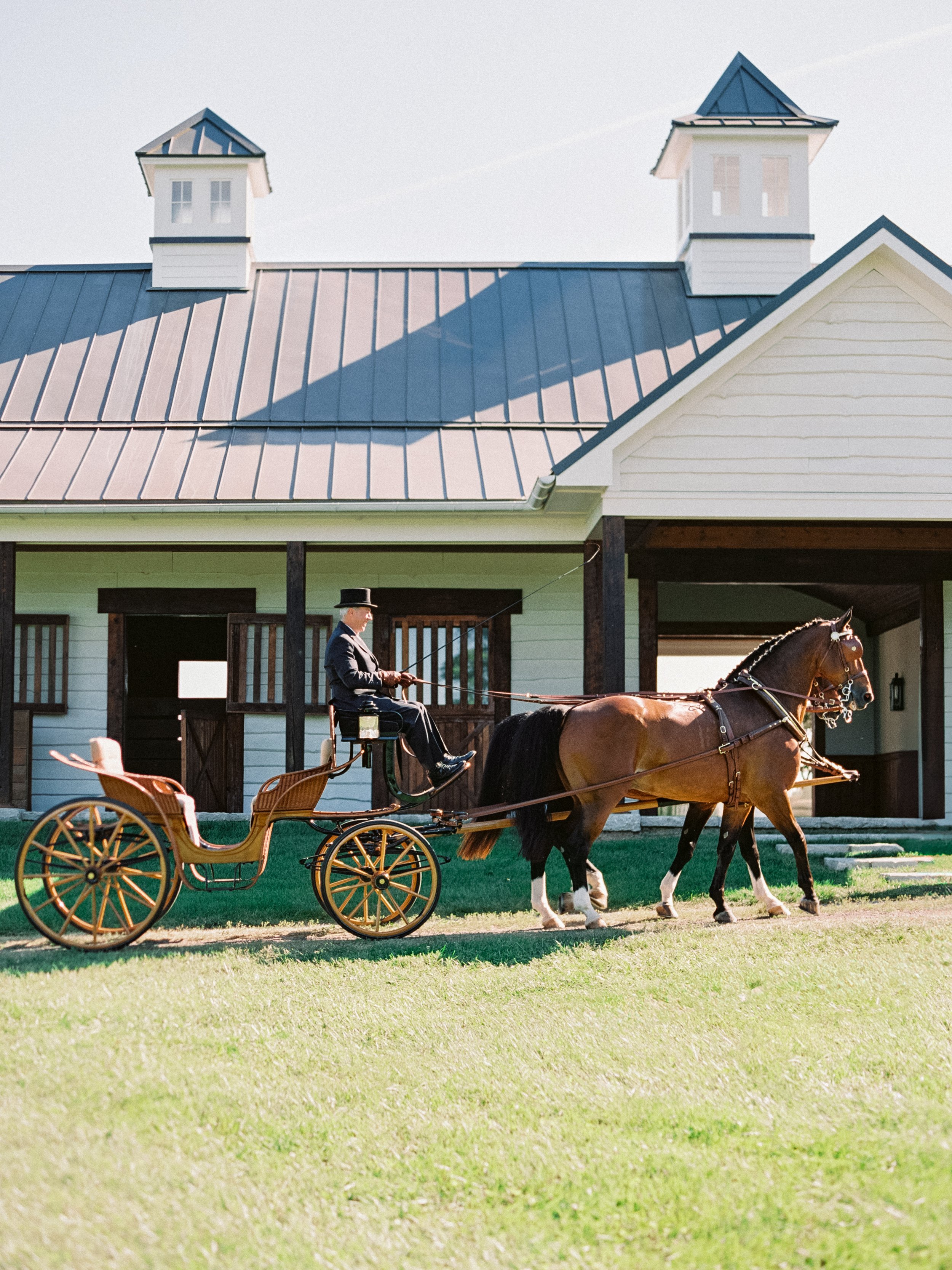 World class horse carriage for Paris KY wedding