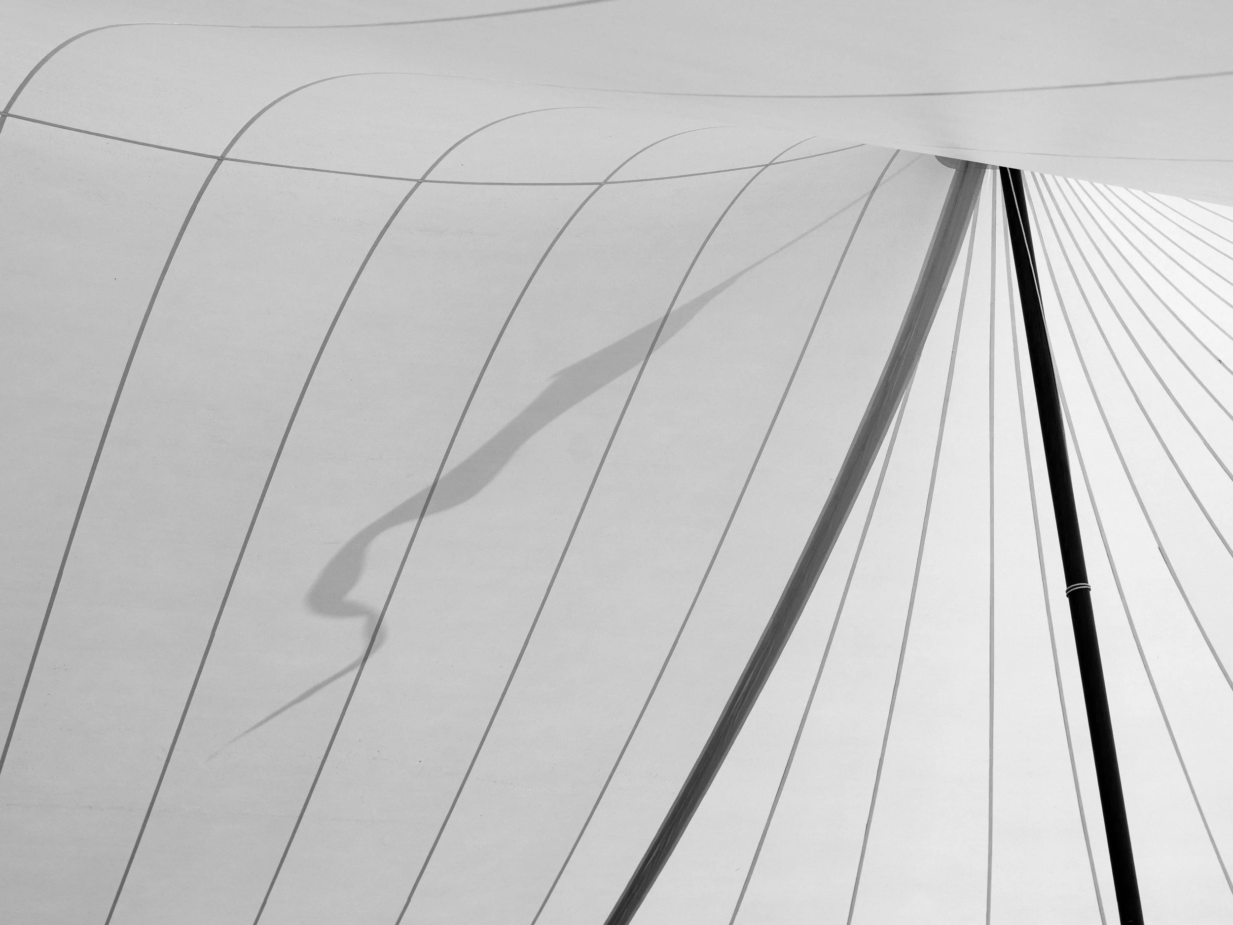 Kentucky Wedding Tent at Ashbourne Farms